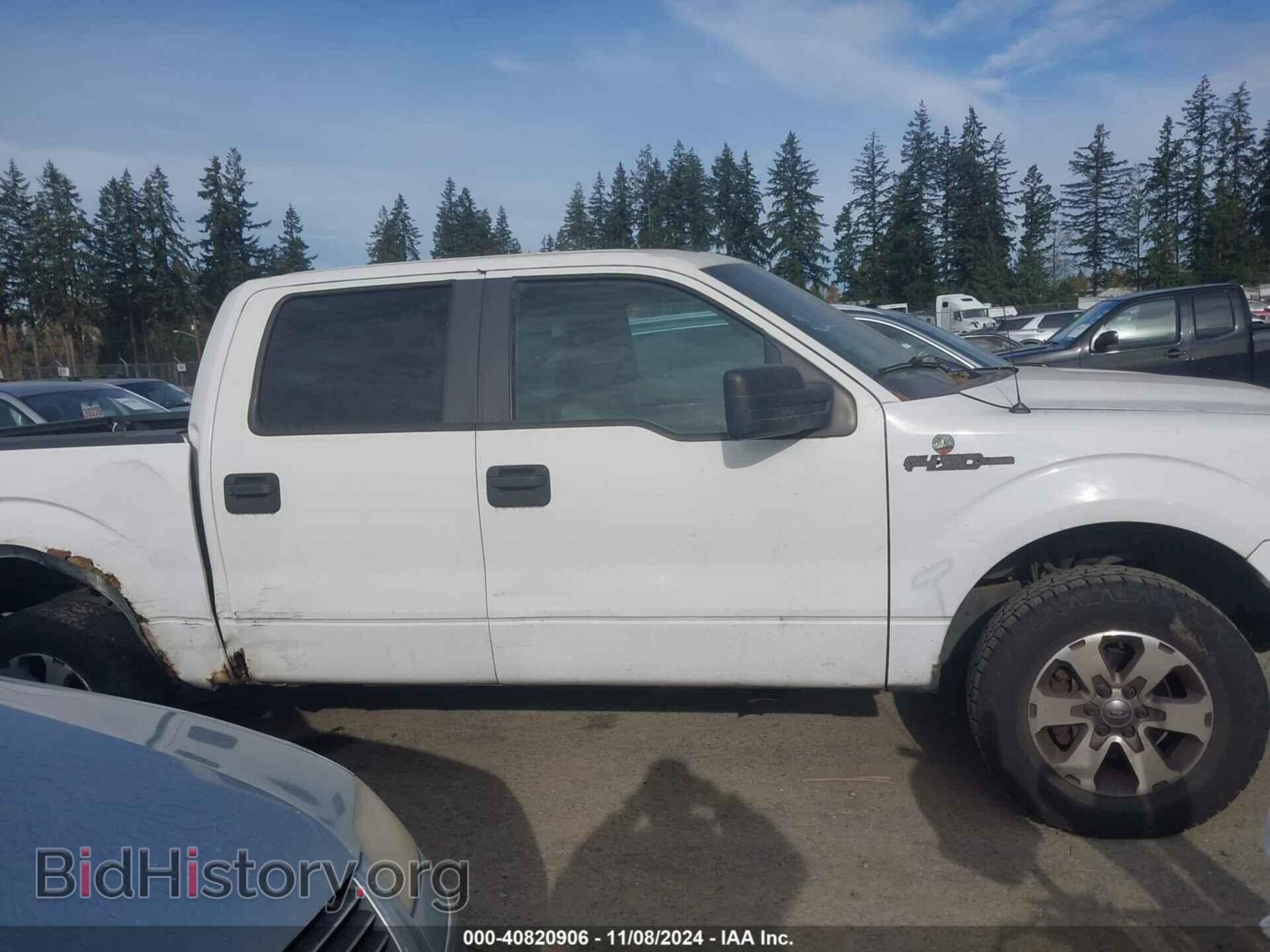 2009 FORD F-150 - VIN: 1FTPW14V69FB07590 - Фото 13