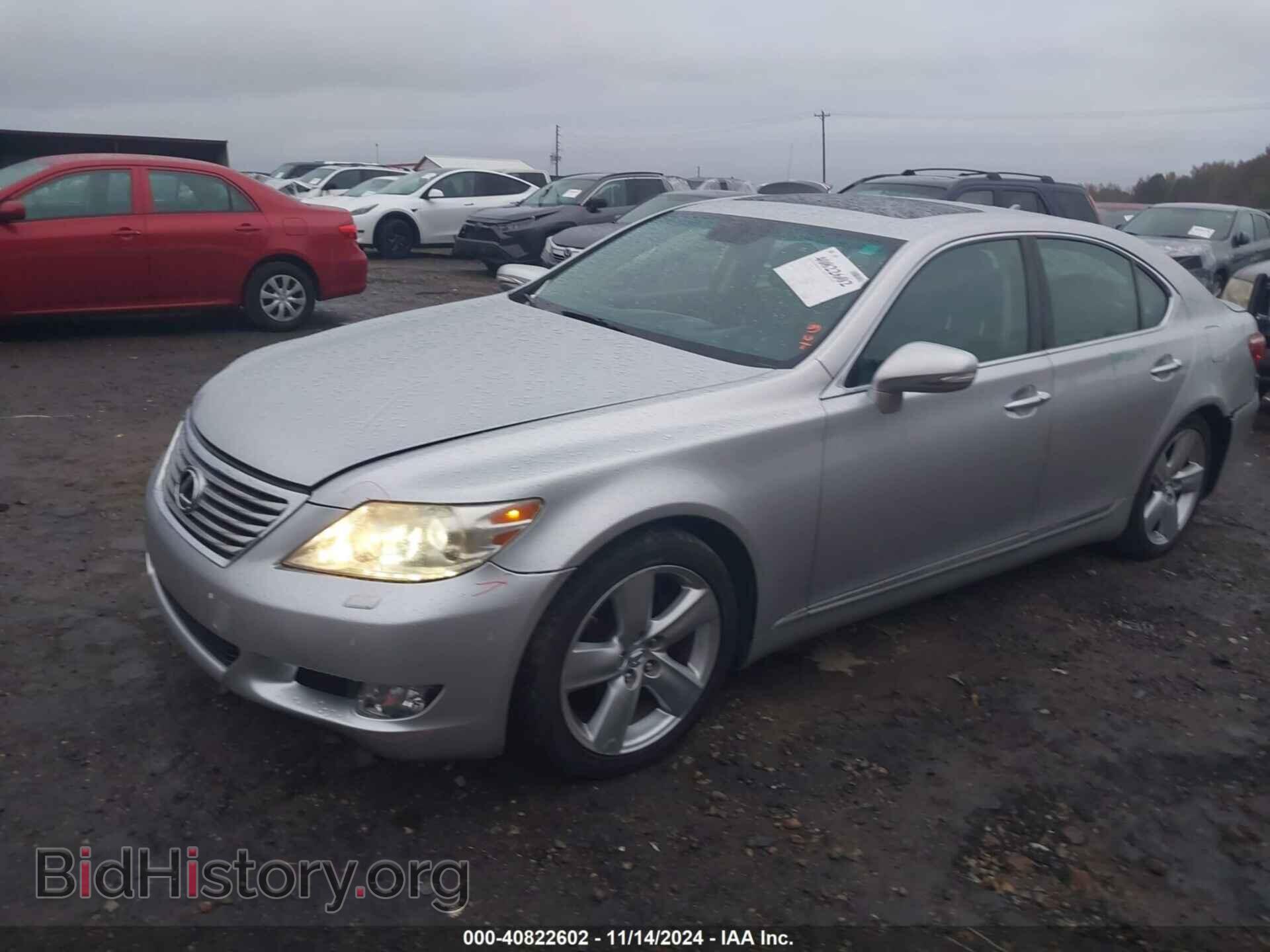 2010 LEXUS LS 460 - VIN: JTHBL5EF8A5097283 - Фото 2