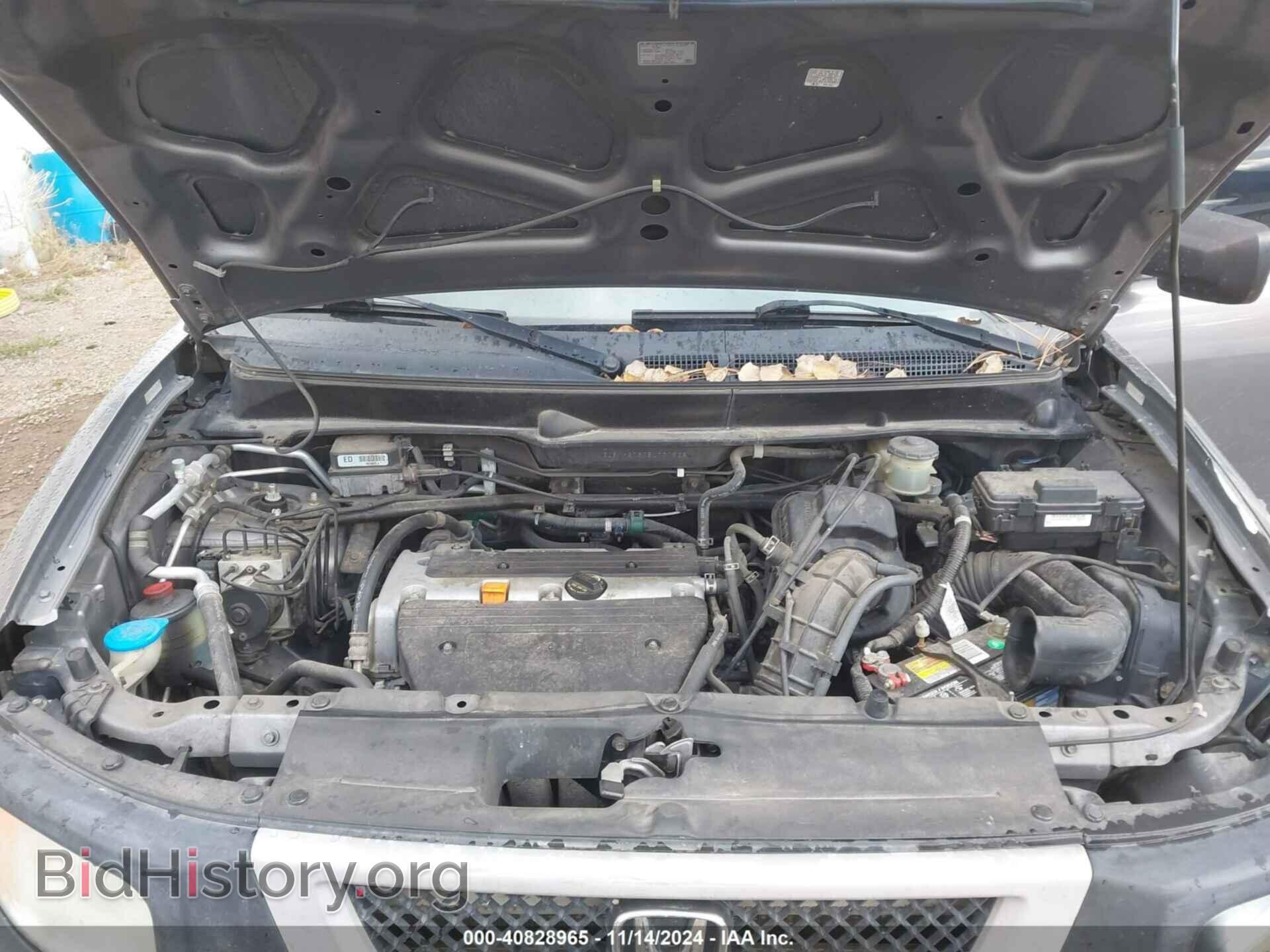 2005 HONDA ELEMENT - VIN: 5J6YH27605L027538 - Фото 10