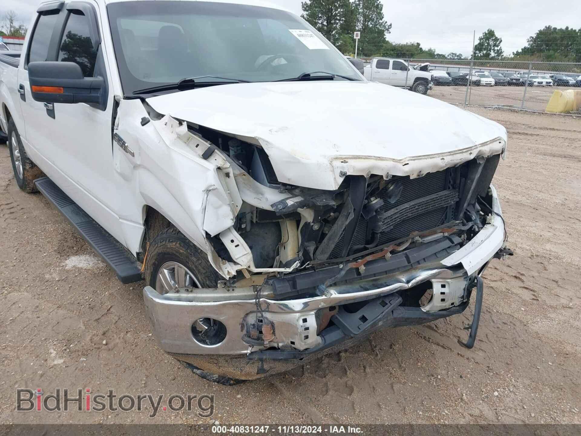 2012 FORD F-150 - VIN: 1FTEW1CM4CFA46974 - Фото 6