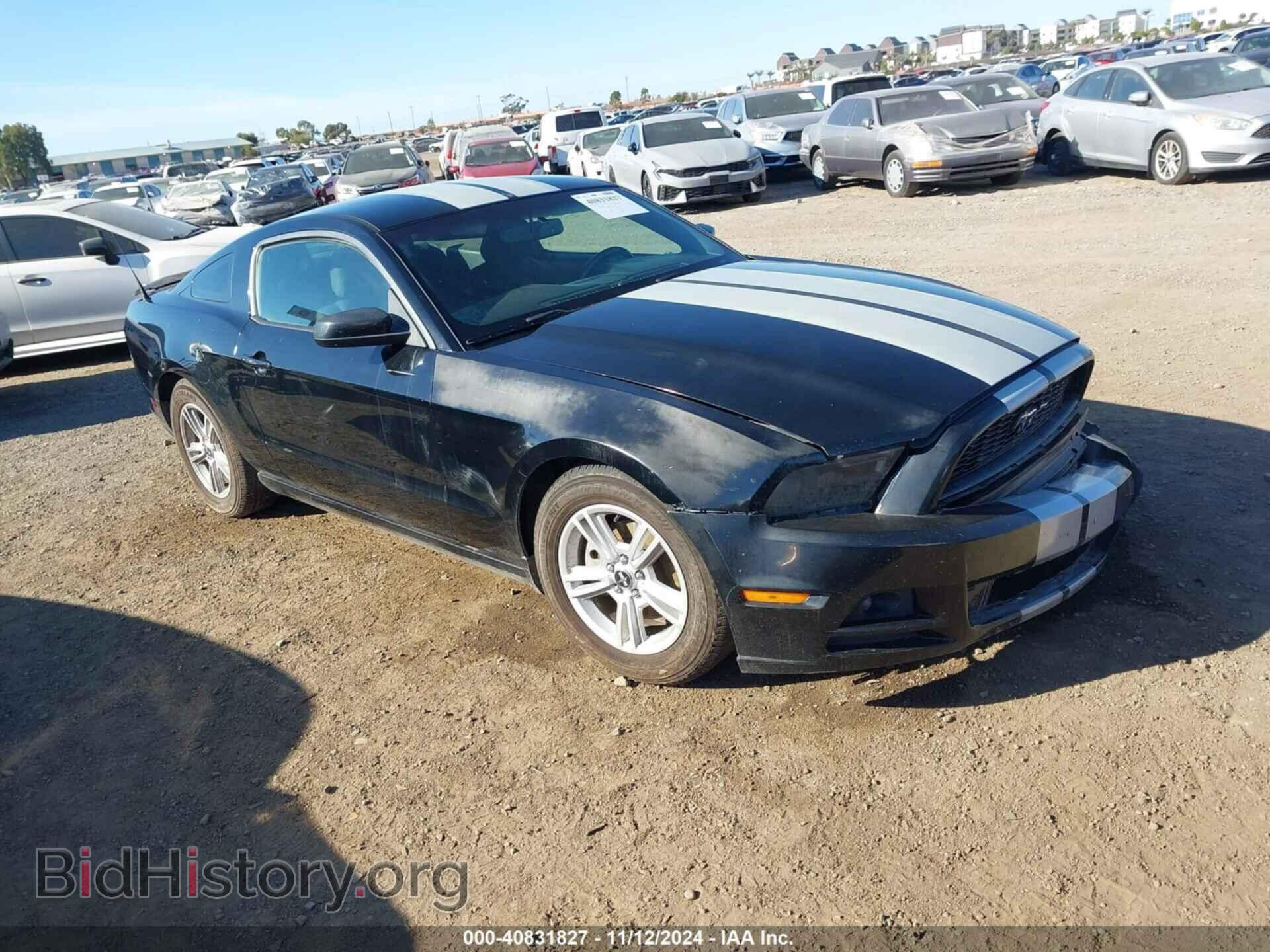 Фотография 1ZVBP8AM3E5313796 - FORD MUSTANG 2014