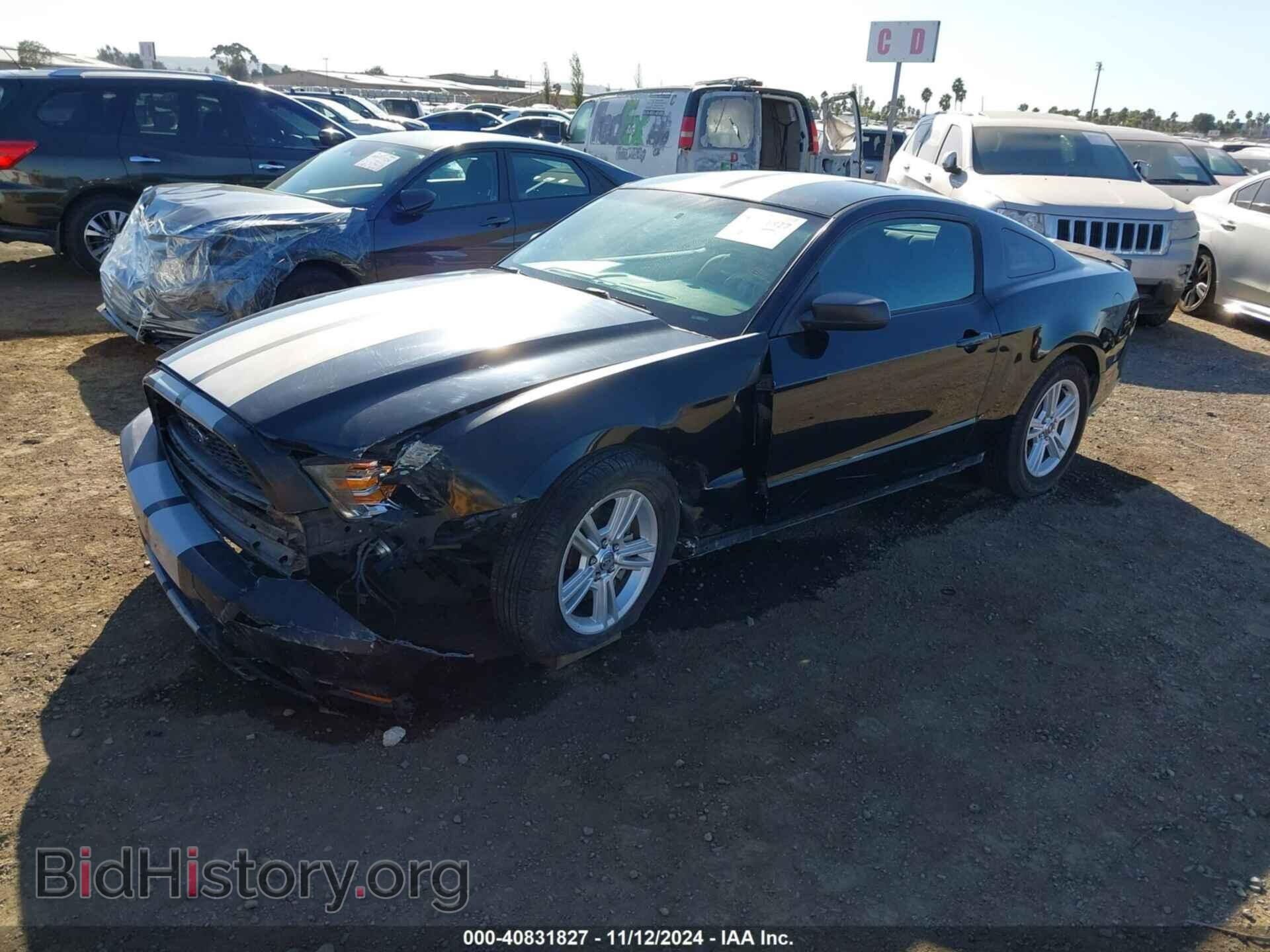 2014 FORD MUSTANG - VIN: 1ZVBP8AM3E5313796 - Фото 2