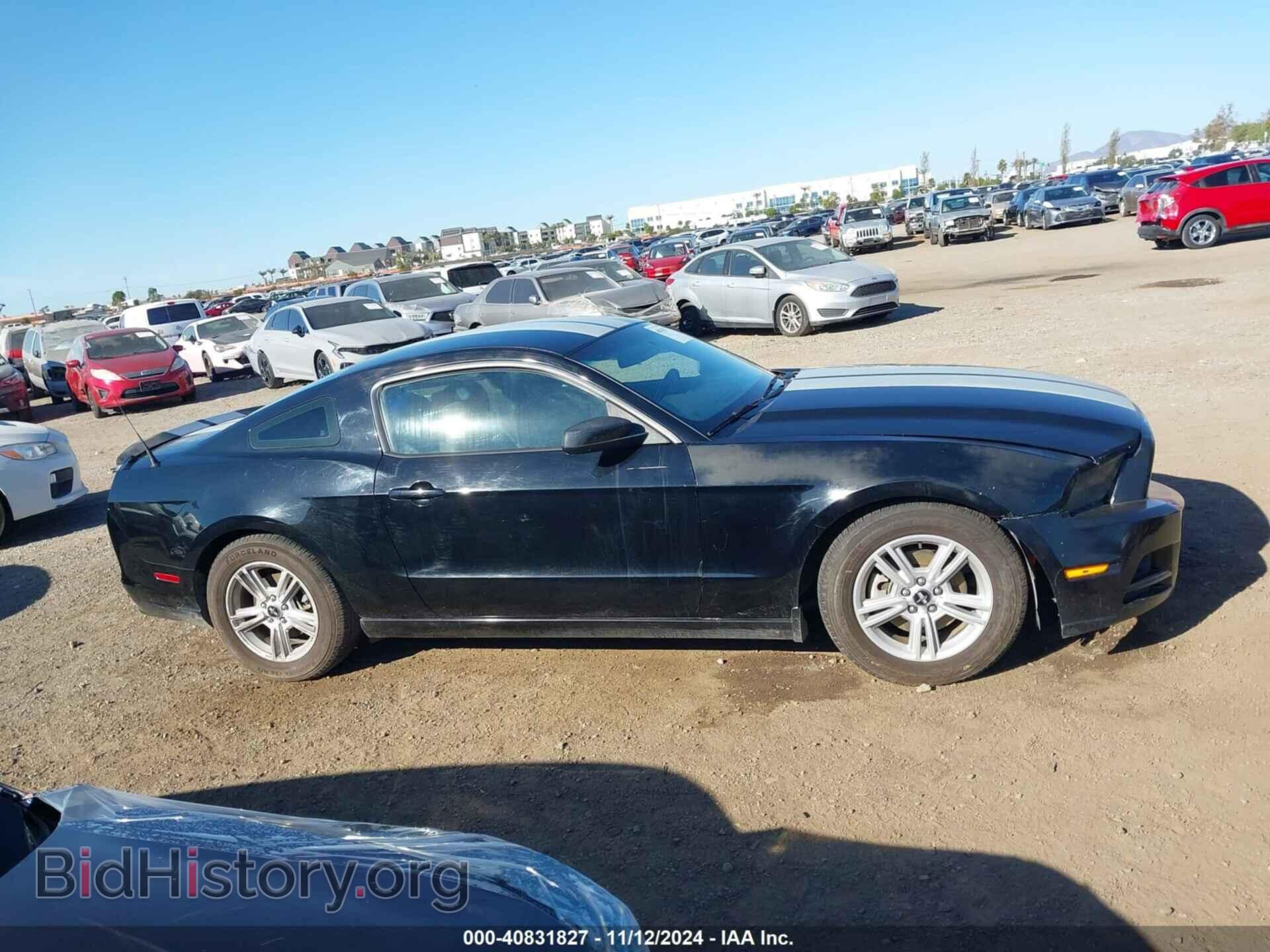 2014 FORD MUSTANG - VIN: 1ZVBP8AM3E5313796 - Фото 12