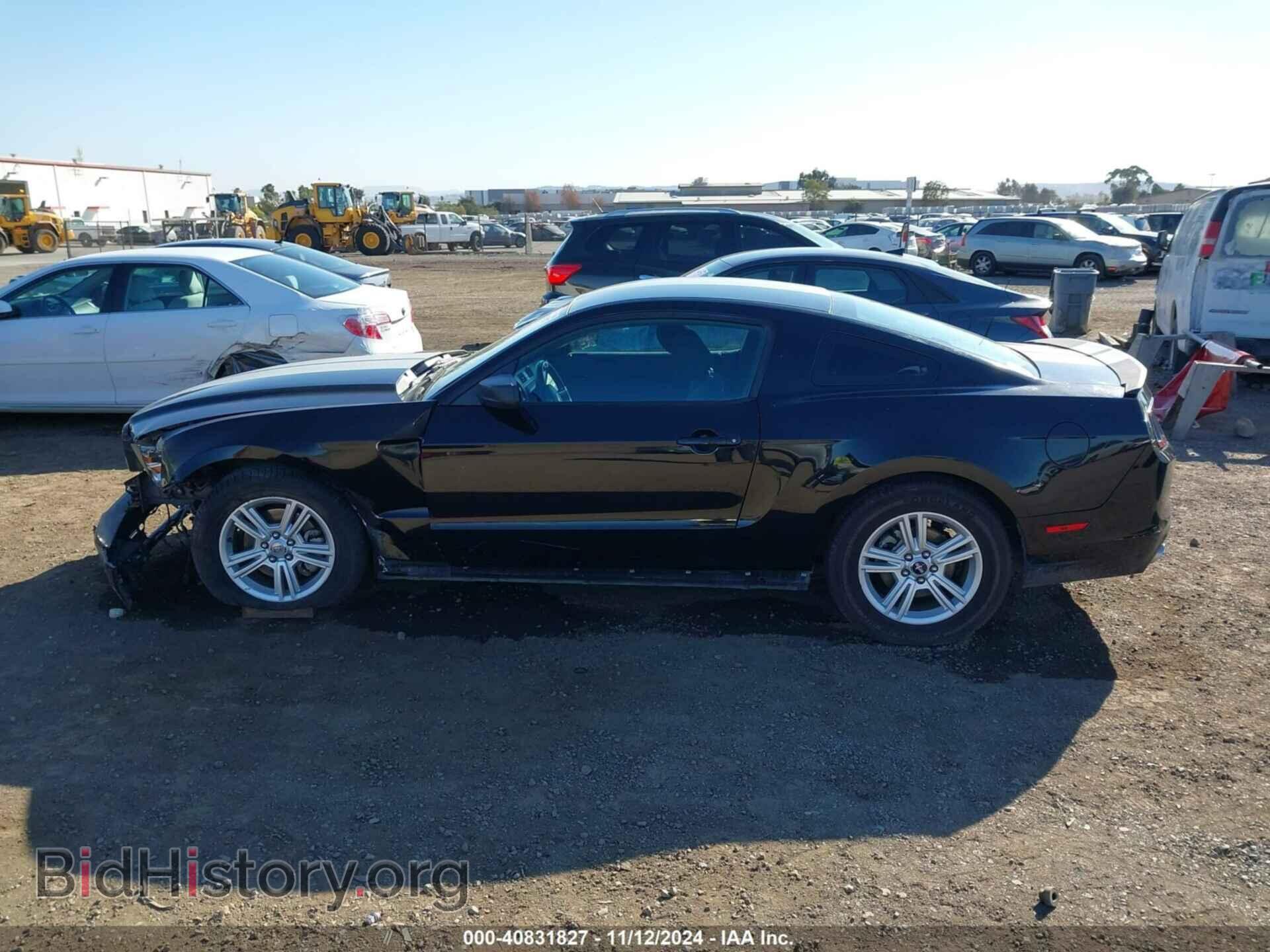 2014 FORD MUSTANG - VIN: 1ZVBP8AM3E5313796 - Фото 13