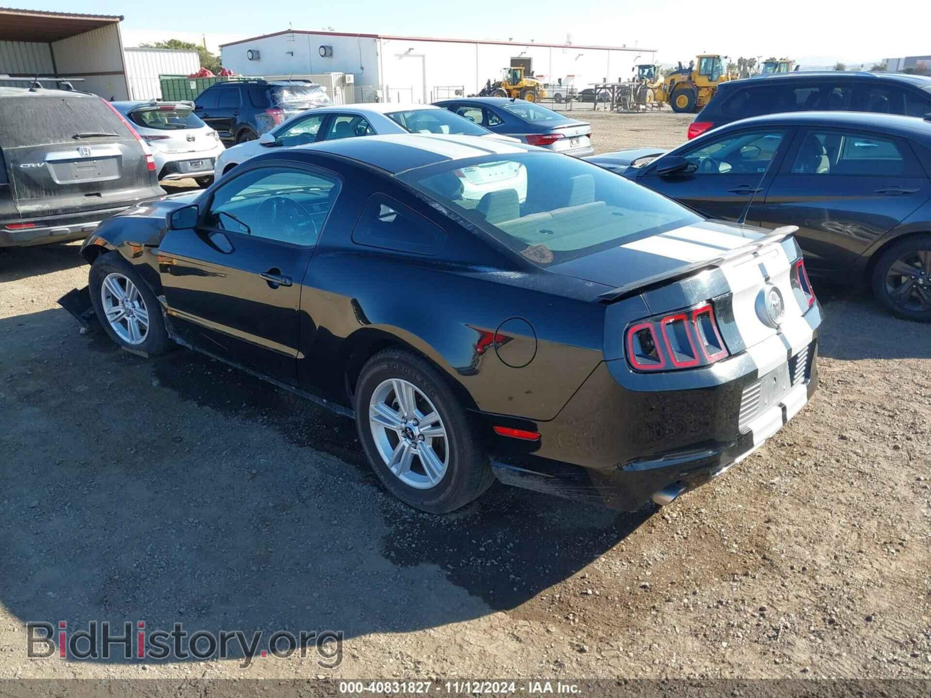 2014 FORD MUSTANG - VIN: 1ZVBP8AM3E5313796 - Фото 3