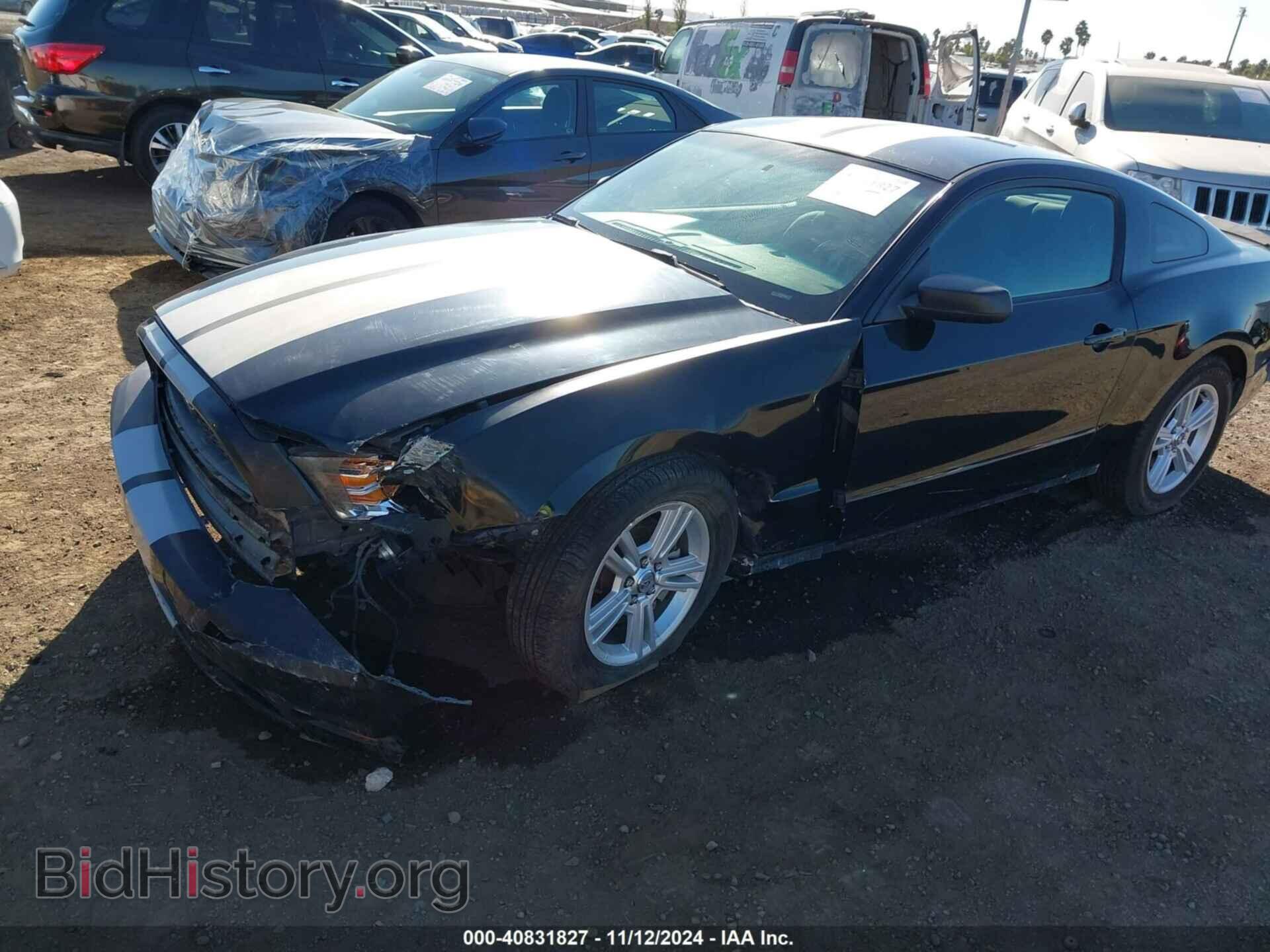 2014 FORD MUSTANG - VIN: 1ZVBP8AM3E5313796 - Фото 6