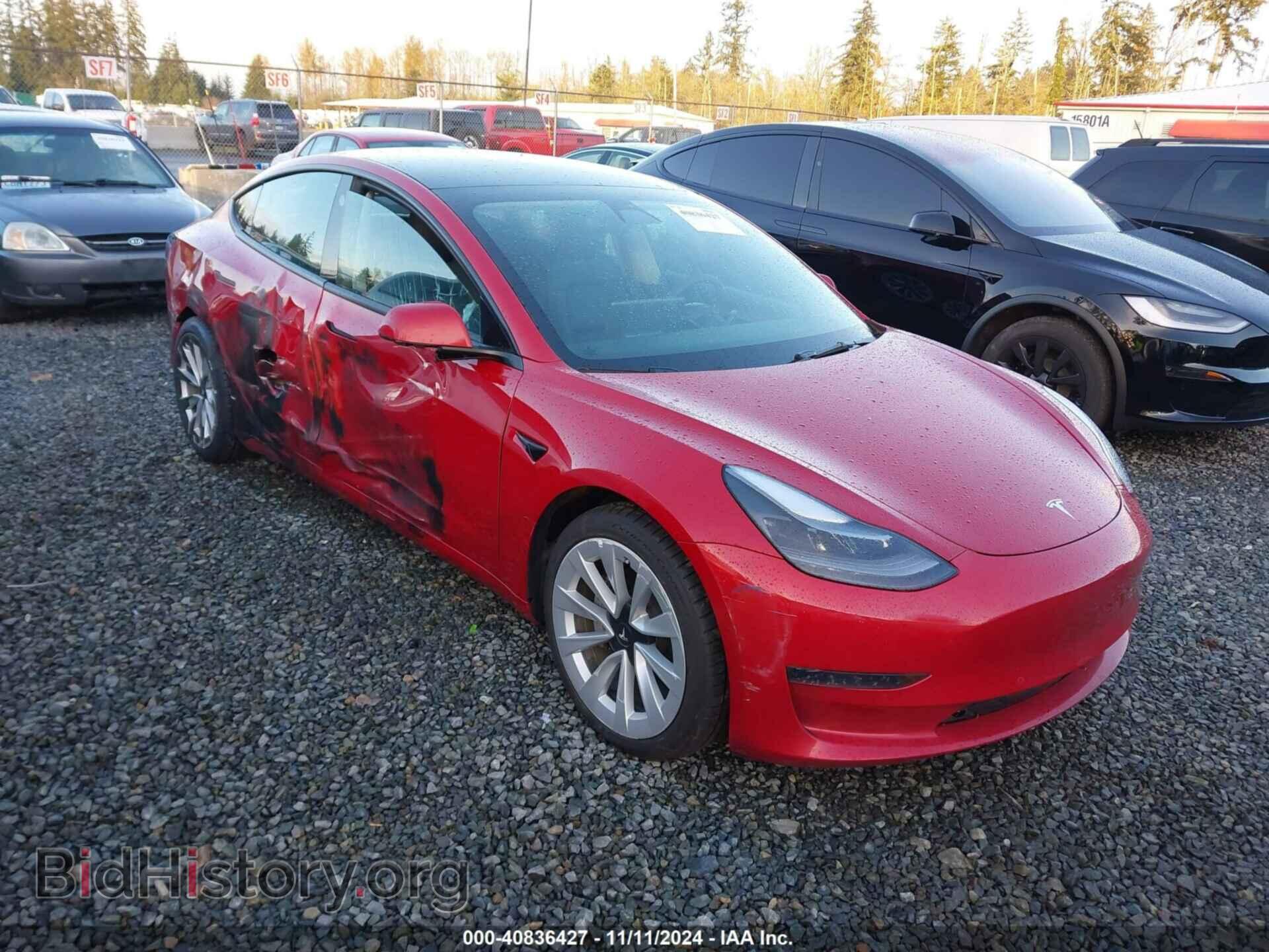 Photo 5YJ3E1EA8MF088244 - TESLA MODEL 3 2021
