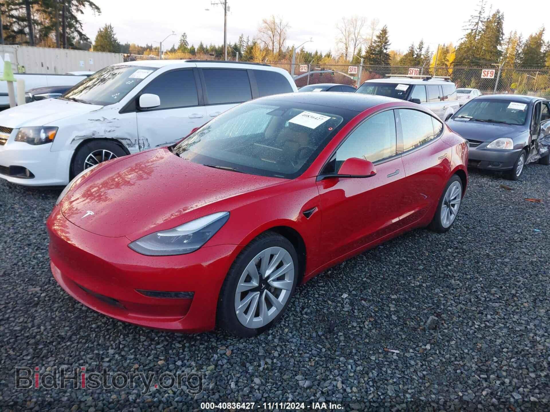 2021 TESLA MODEL 3 - VIN: 5YJ3E1EA8MF088244 - Фото 2