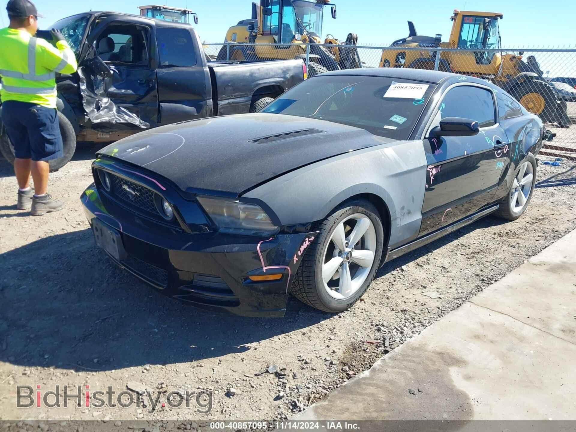 2013 FORD MUSTANG - VIN: 1ZVBP8CF6D5226973 - Фото 2