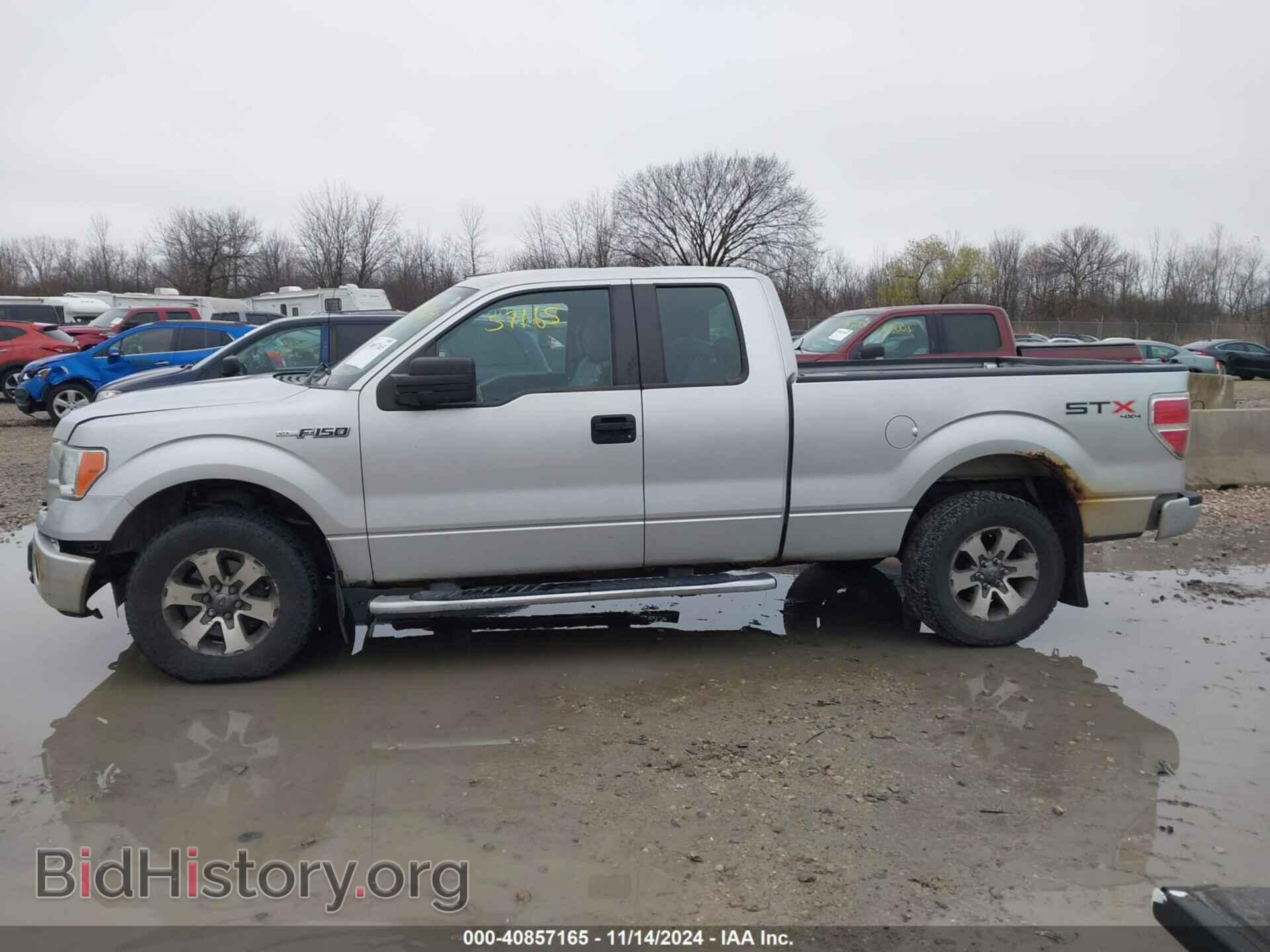 2013 FORD F-150 - VIN: 1FTFX1EF7DFD33954 - Фото 14