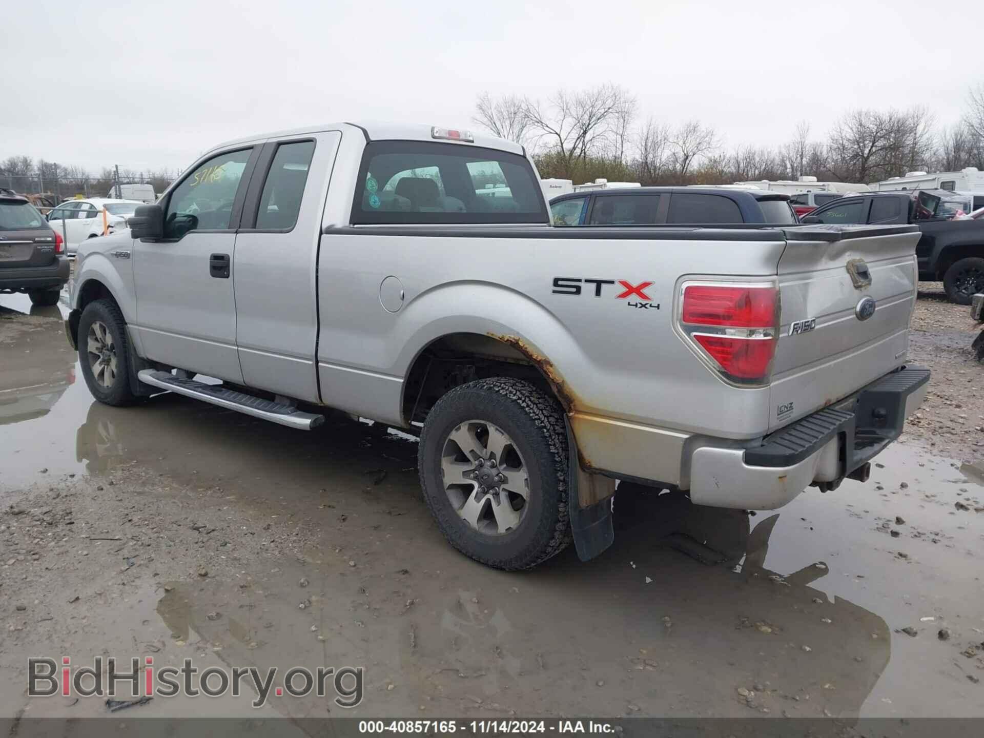 2013 FORD F-150 - VIN: 1FTFX1EF7DFD33954 - Фото 3