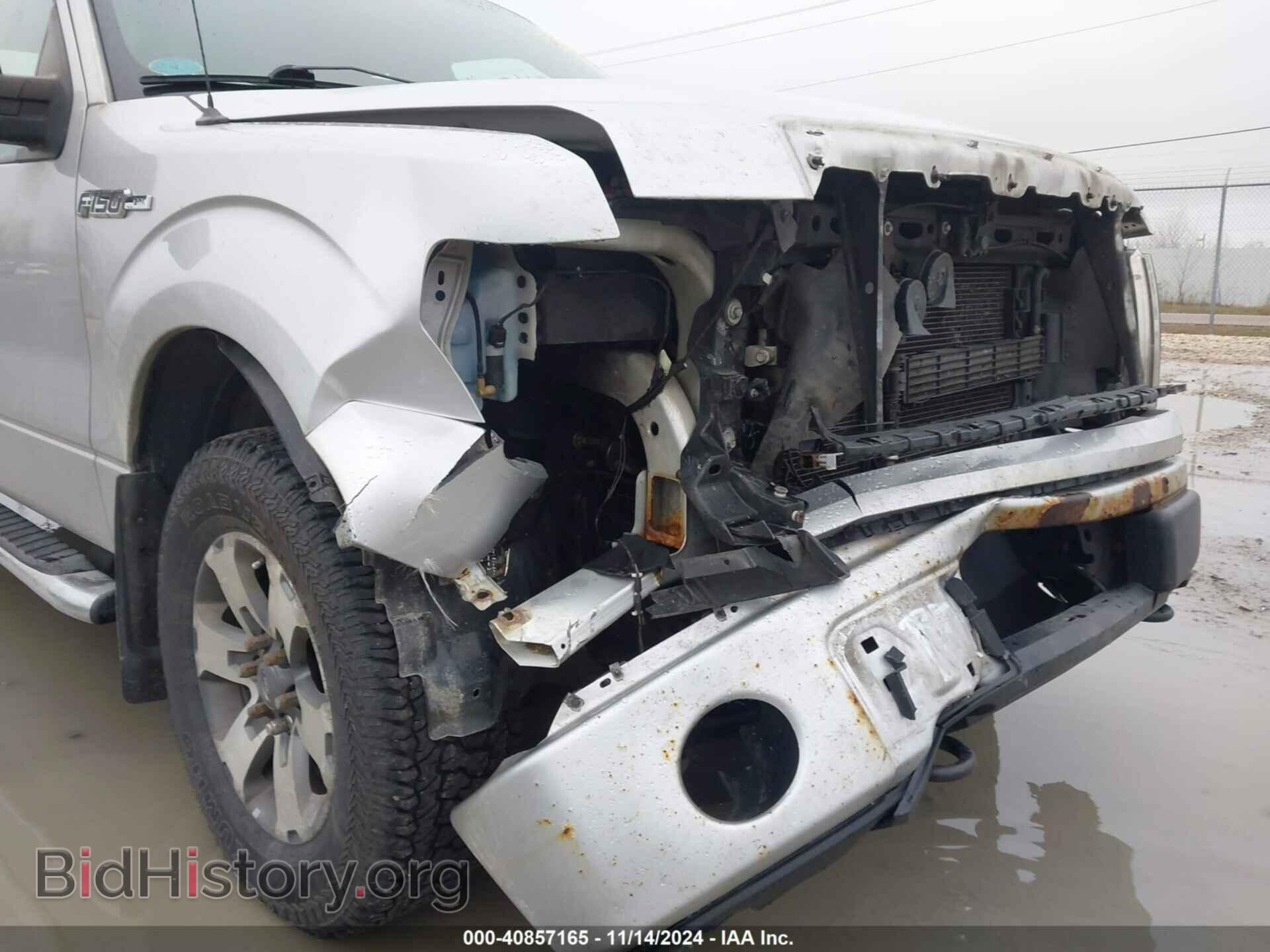 2013 FORD F-150 - VIN: 1FTFX1EF7DFD33954 - Фото 6