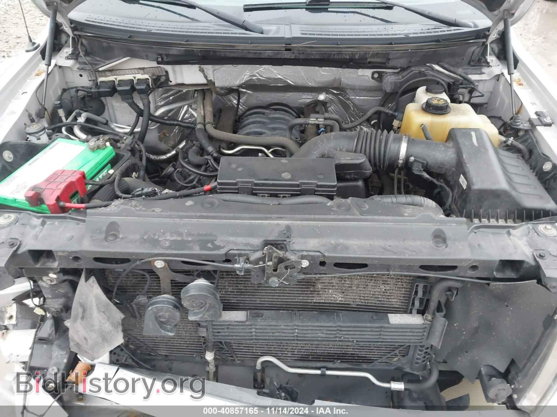 2013 FORD F-150 - VIN: 1FTFX1EF7DFD33954 - Фото 10