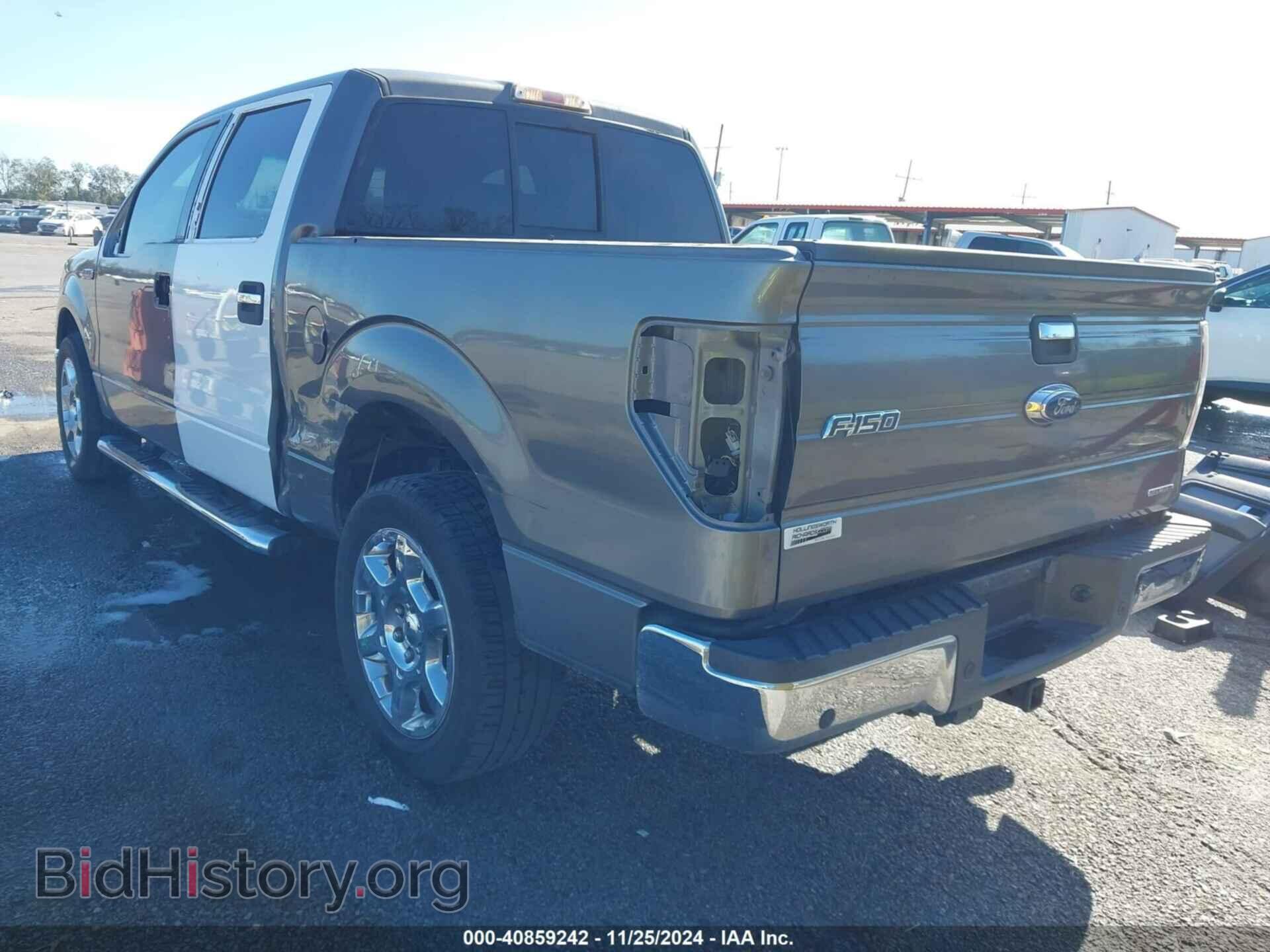 2013 FORD F-150 - VIN: 1FTFW1CF8DKF29561 - Фото 3