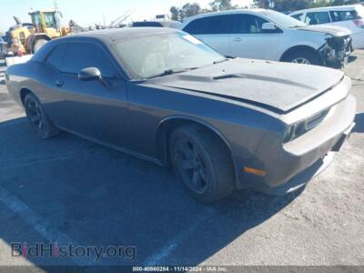 2014 Dodge CHALLENGER SXT, серый — VIN 2C3CDYAG2EH229895, IAAI
