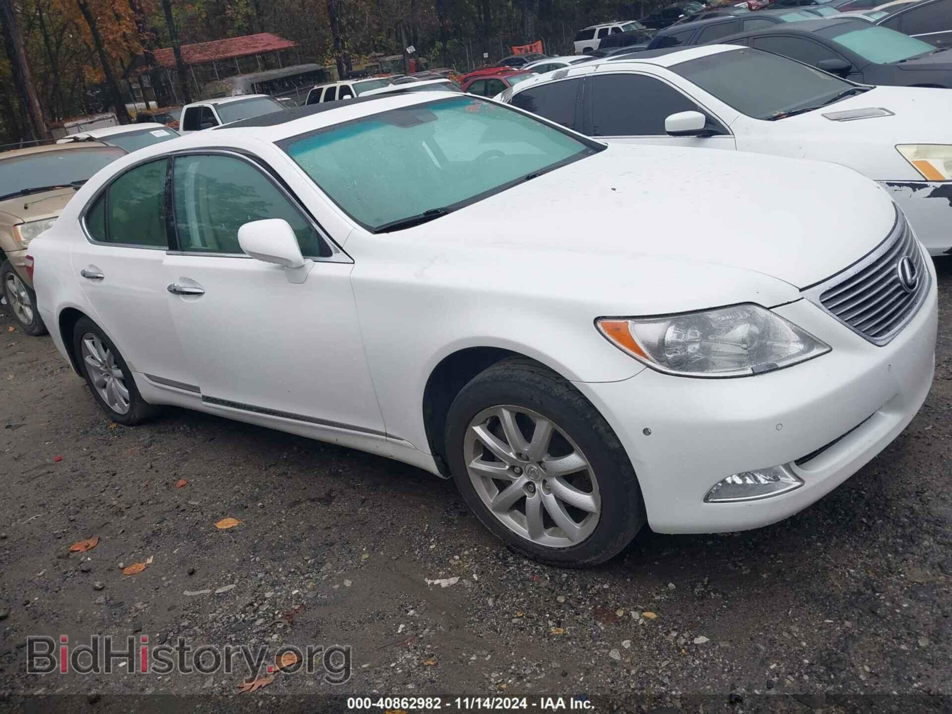 2009 LEXUS LS 460 - VIN: JTHBL46F495090237 - Фото 12