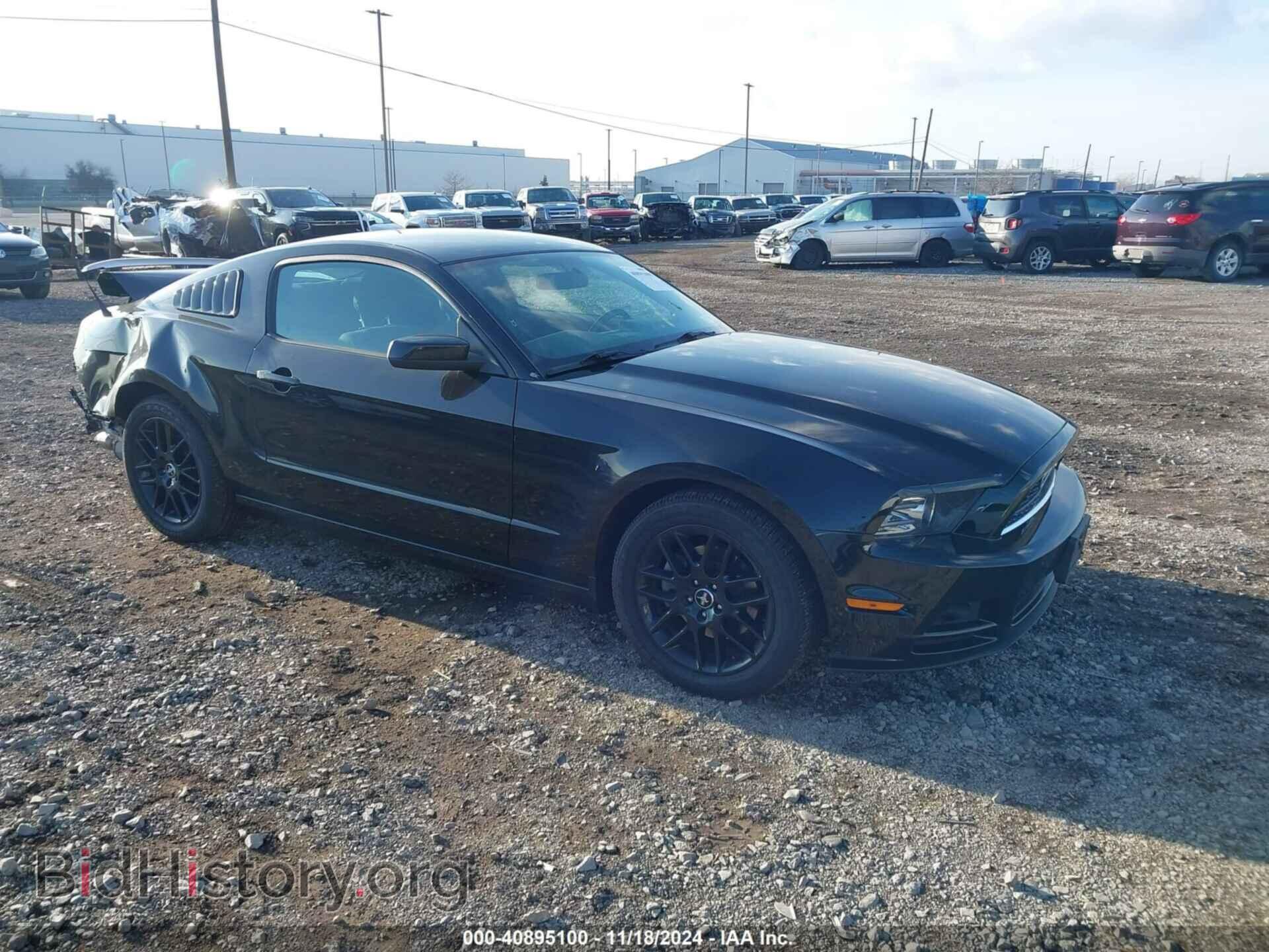 Фотография 1ZVBP8AM4E5249607 - FORD MUSTANG 2014