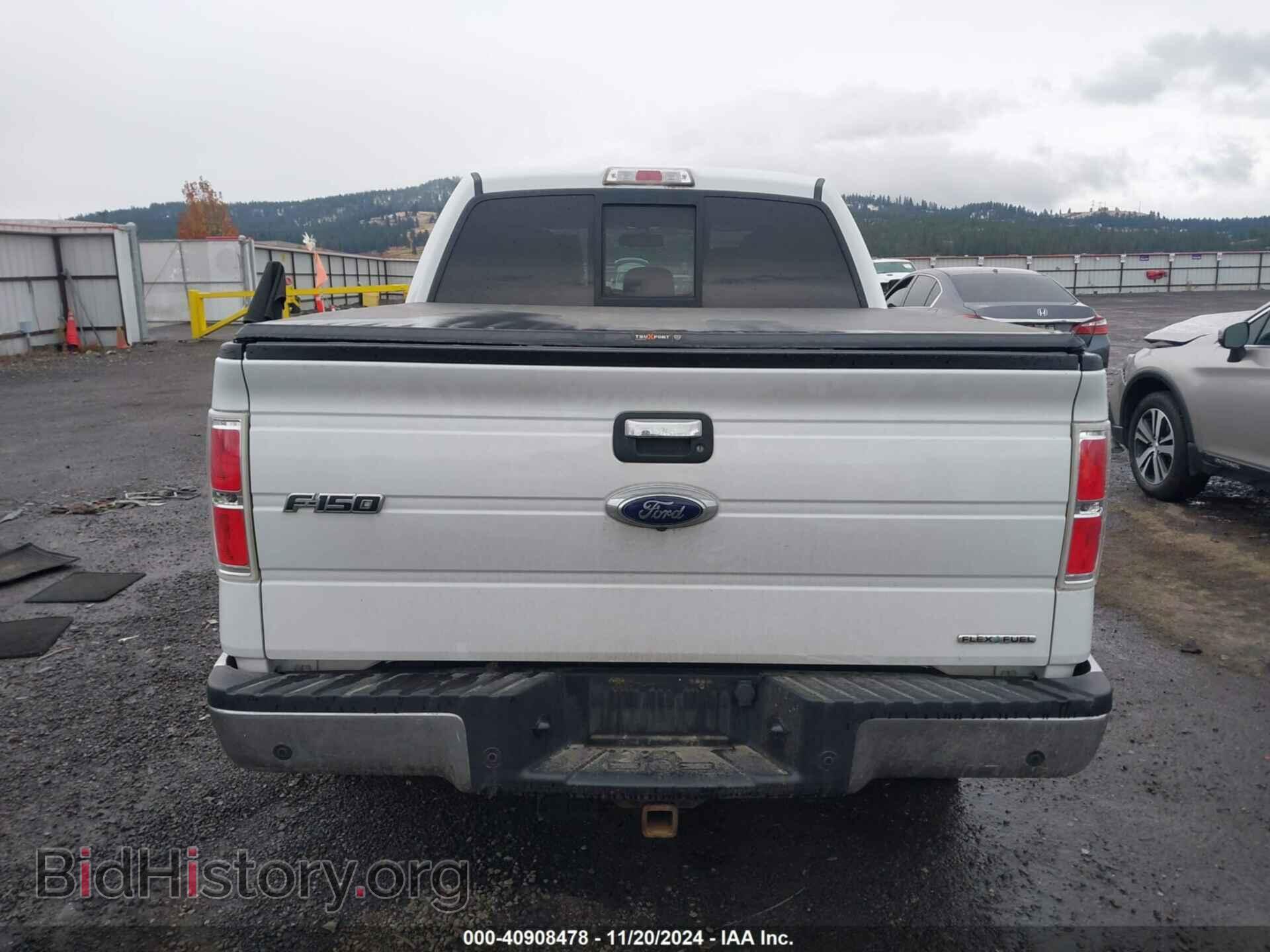 2013 FORD F-150 - VIN: 1FTFW1EFXDFD01695 - Фото 16