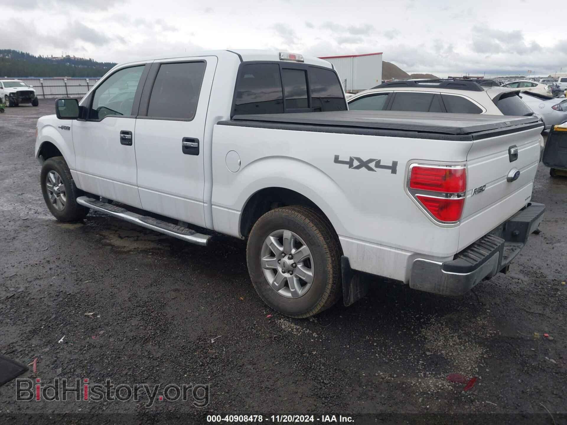2013 FORD F-150 - VIN: 1FTFW1EFXDFD01695 - Фото 3