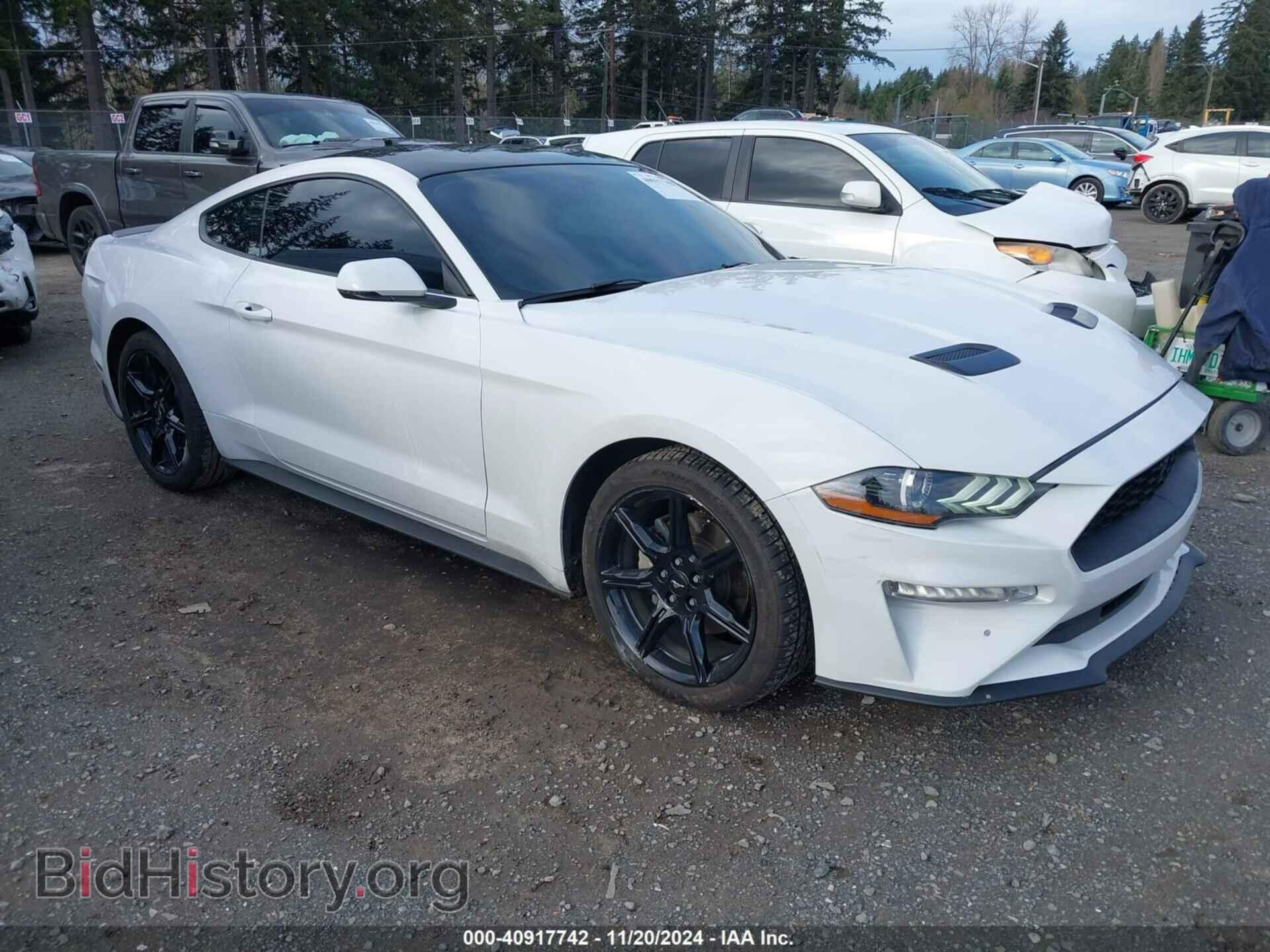 Photo 1FA6P8TH0L5173553 - FORD MUSTANG 2020