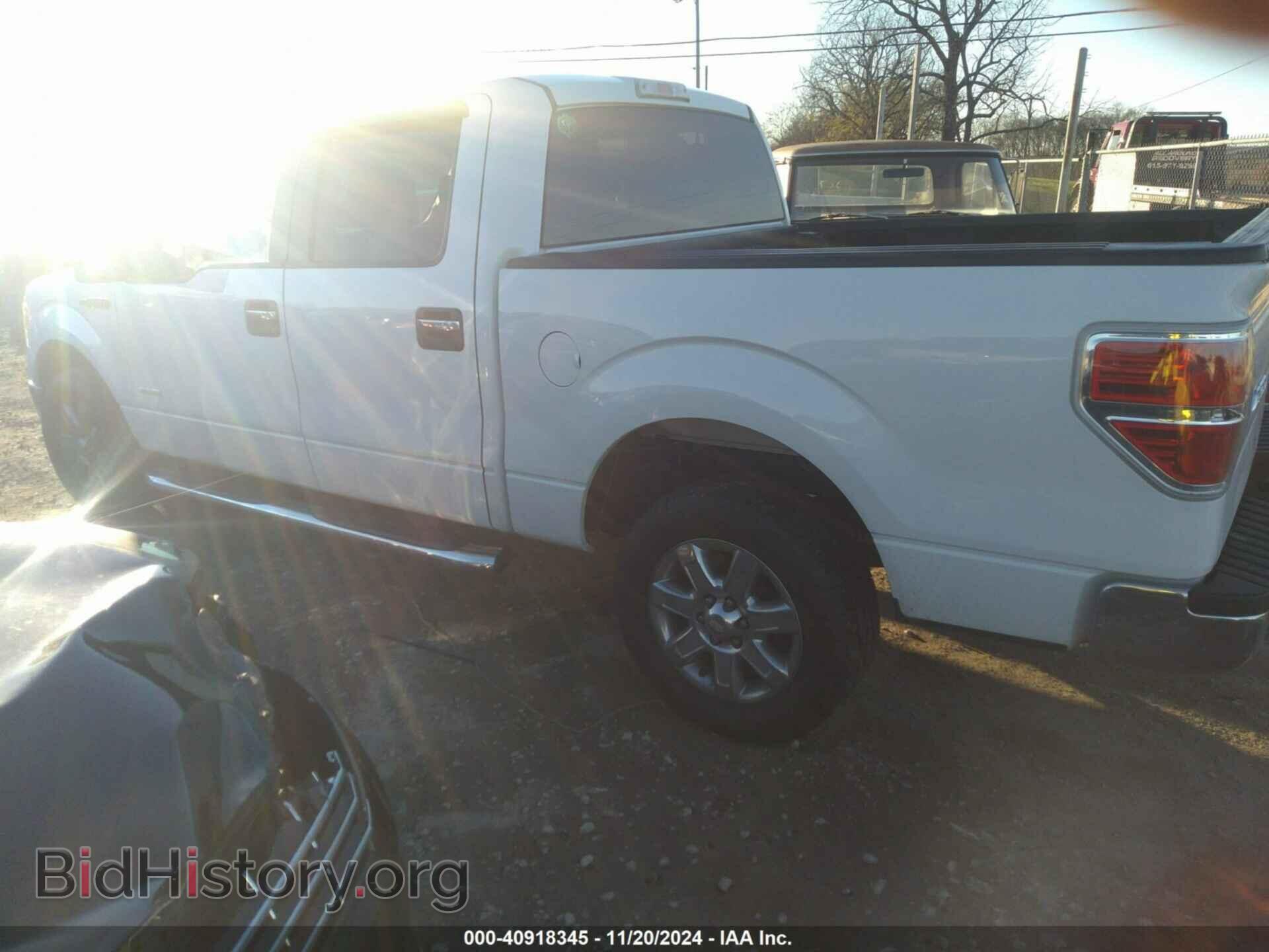 2013 FORD F-150 - VIN: 1FTFW1CT5DFA43370 - Фото 3