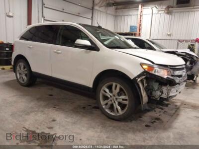 2014 Ford EDGE SEL, белый — VIN 2FMDK4JC8EBA16198, IAAI