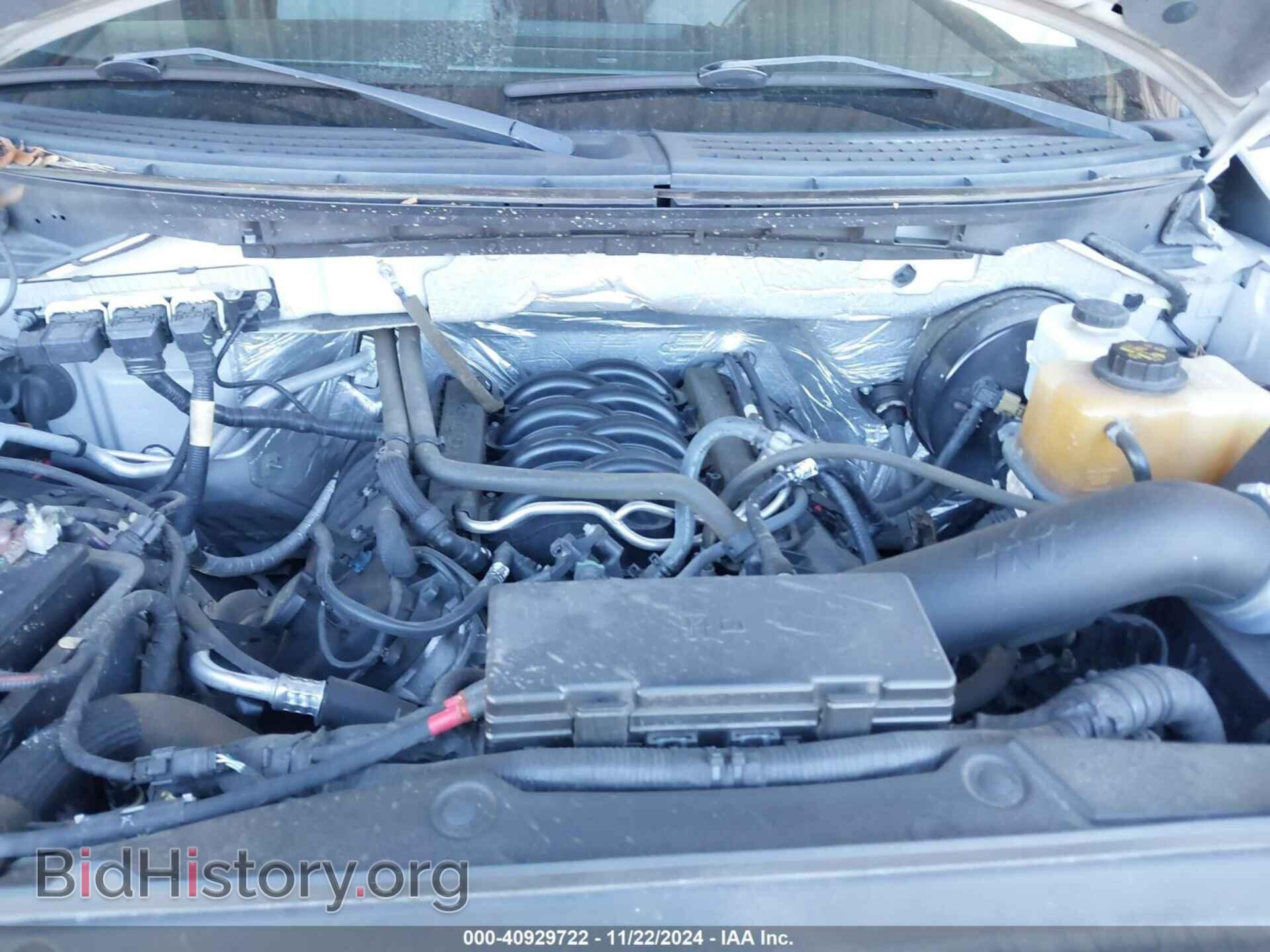 2013 FORD F-150 - VIN: 1FTFX1CF1DFD64104 - Фото 10