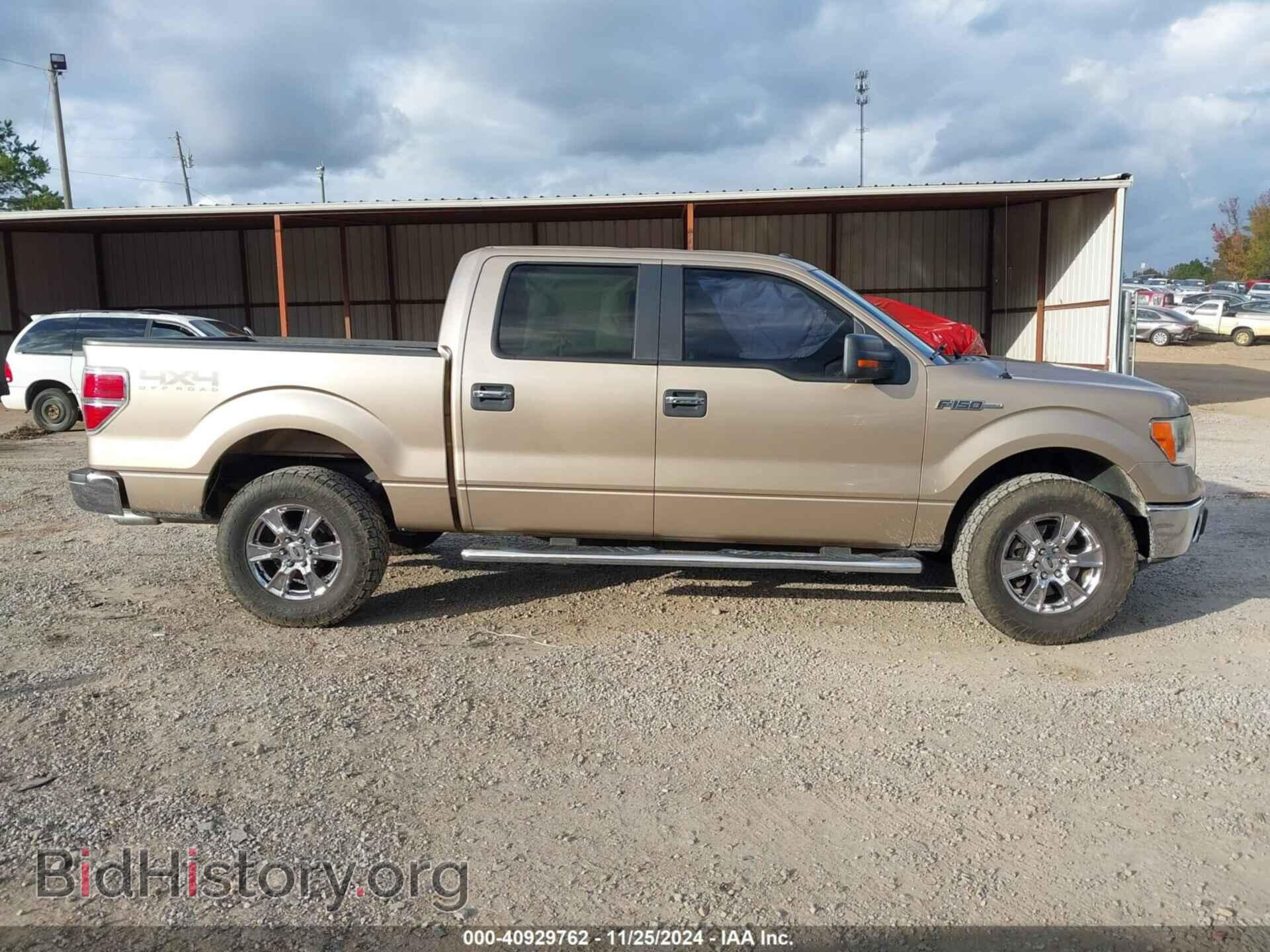 2013 FORD F-150 - VIN: 1FTFW1EF4DKD34375 - Фото 13