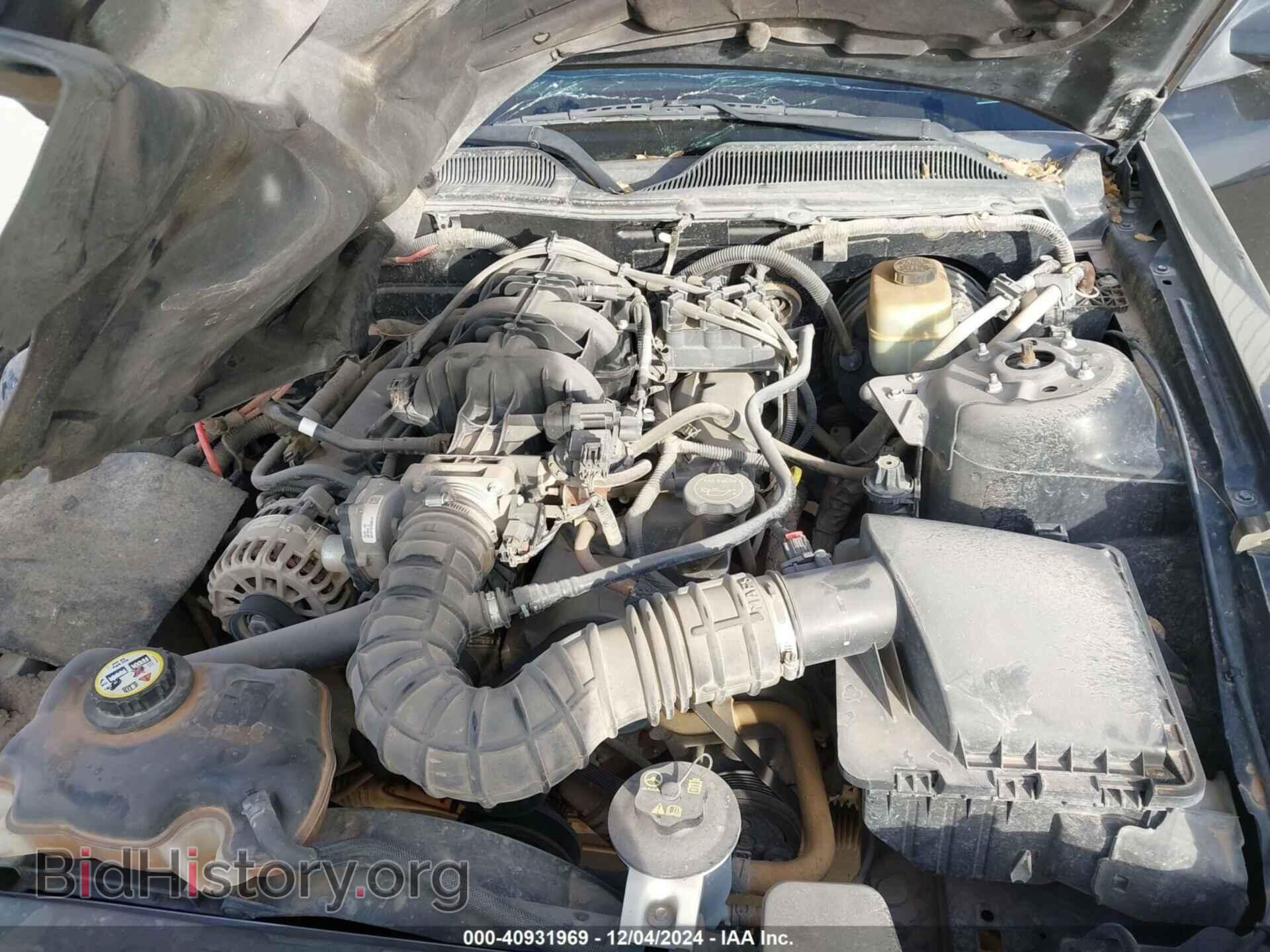2006 FORD MUSTANG - VIN: 1ZVFT84N165154084 - Фото 10