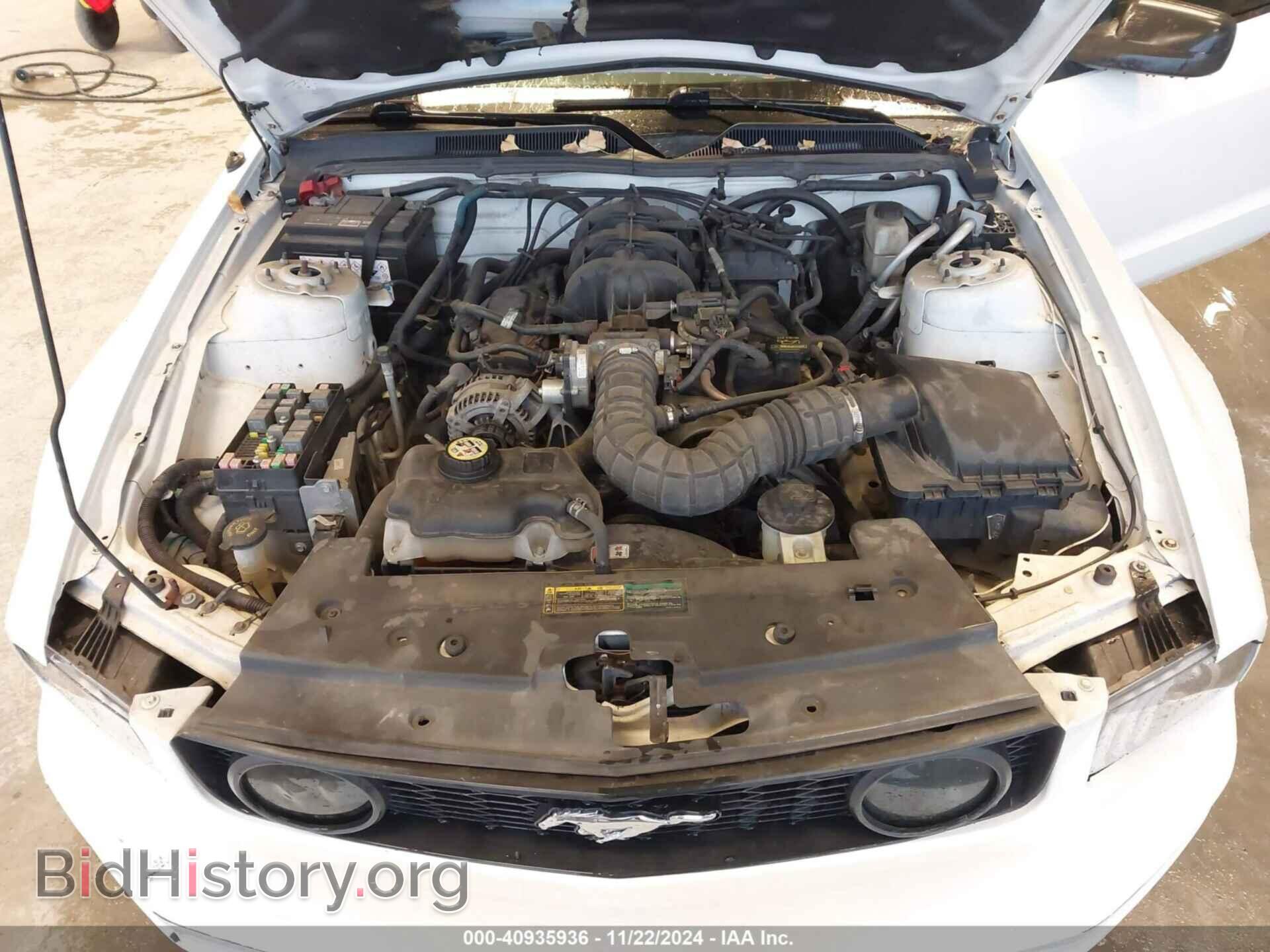 2009 FORD MUSTANG - VIN: 1ZVHT80N095128434 - Фото 10