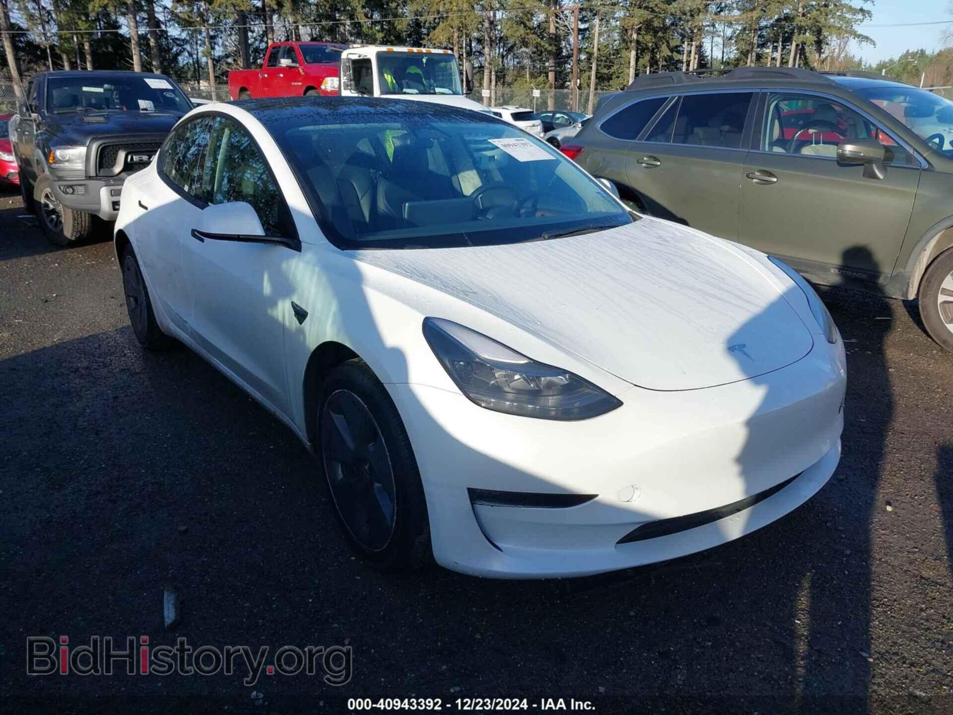 Photo 5YJ3E1EBXPF454881 - TESLA MODEL 3 2023