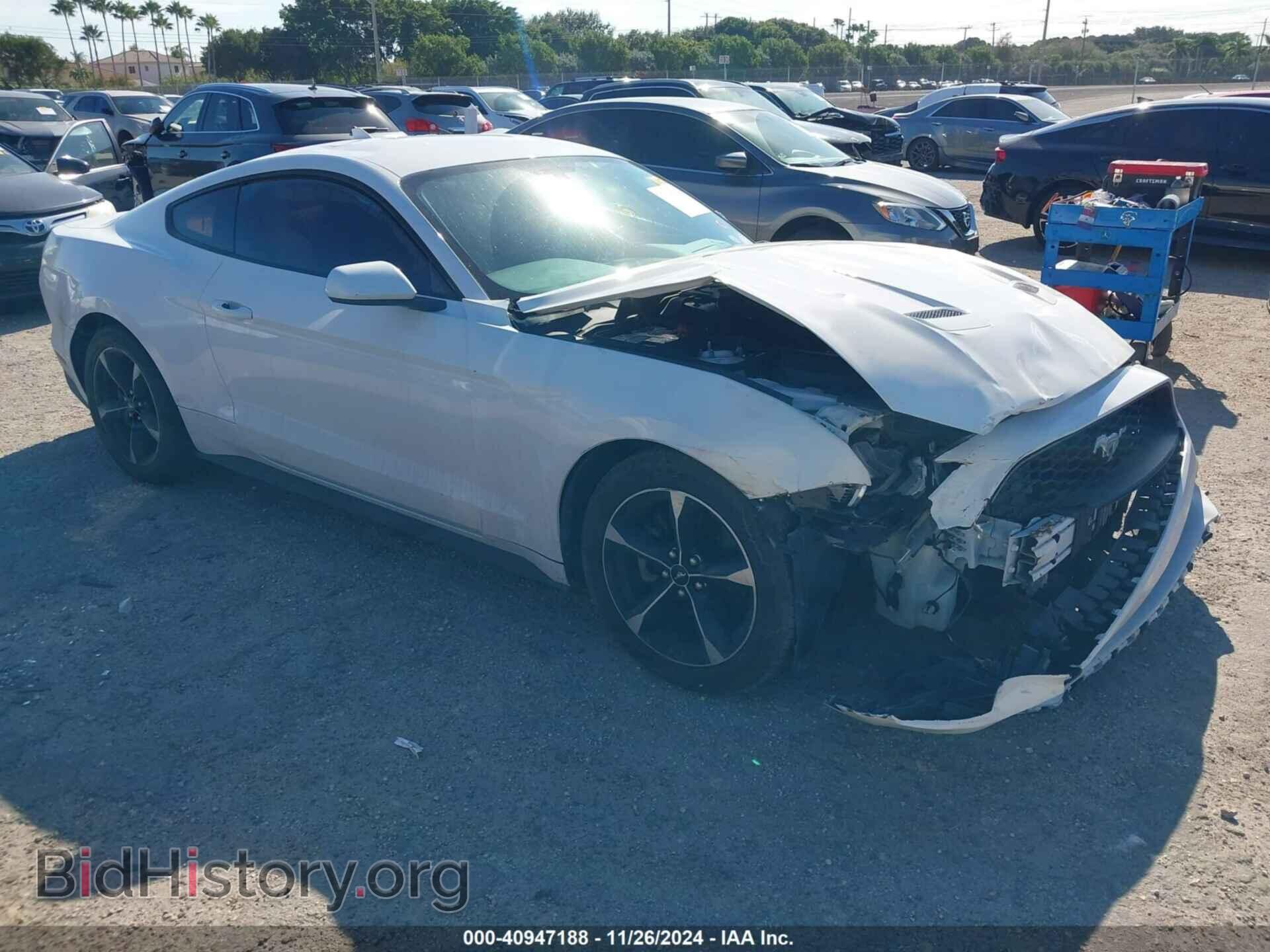 Photo 1FA6P8TH8L5145483 - FORD MUSTANG 2020