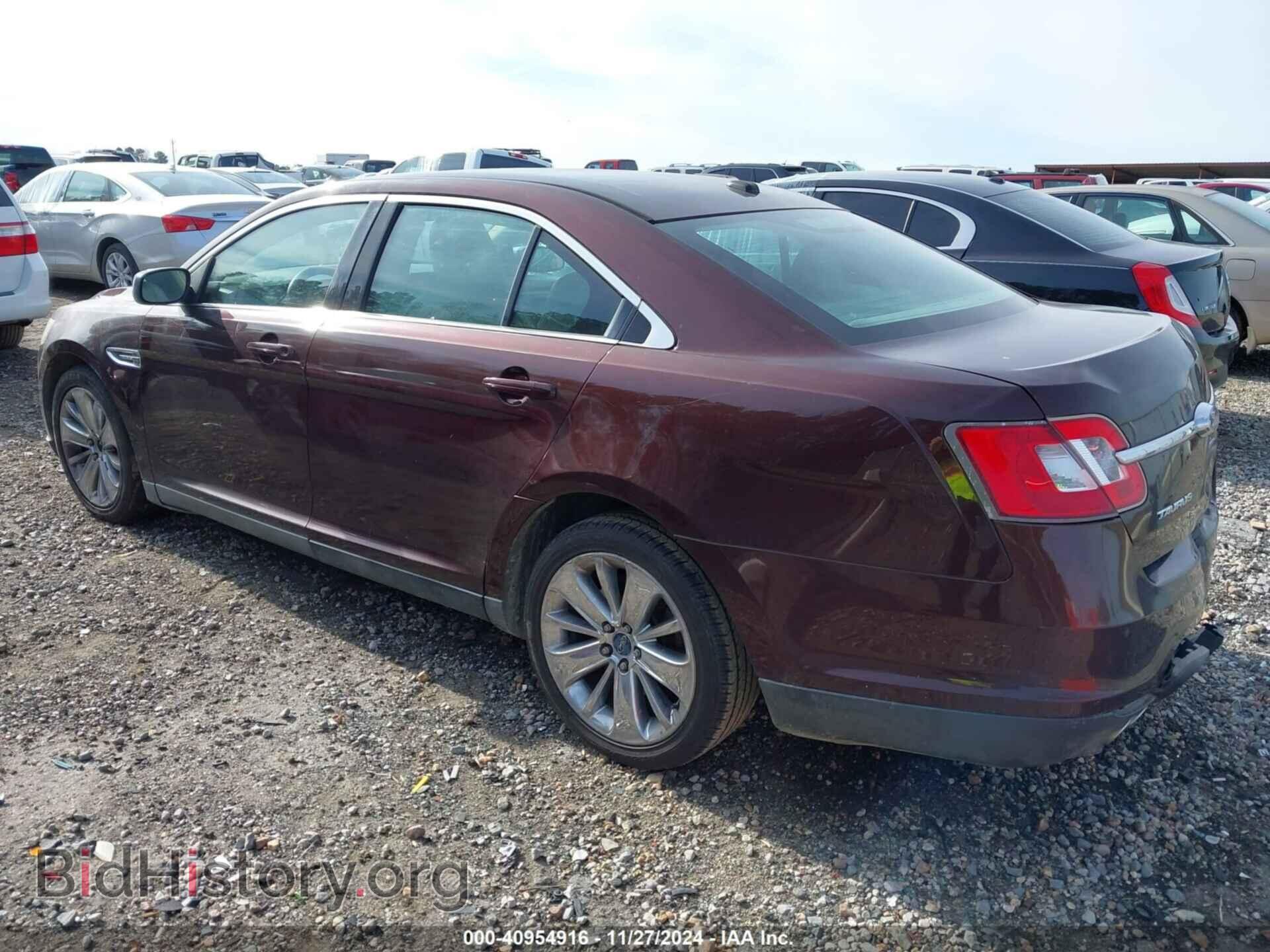 2010 FORD TAURUS - VIN: 1FAHP2FW3AG136031 - Фото 3