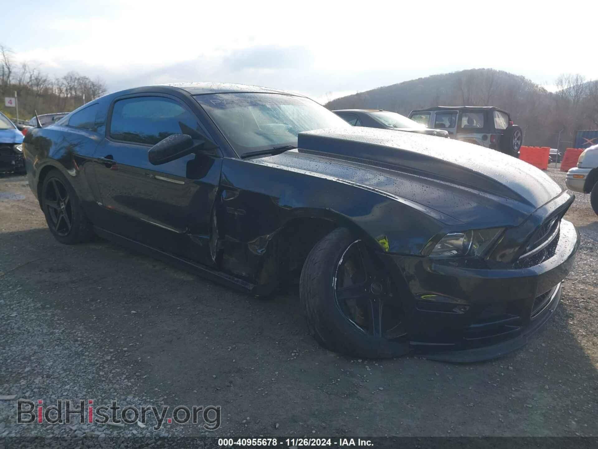 Фотография 1ZVBP8CF1D5240974 - FORD MUSTANG 2013