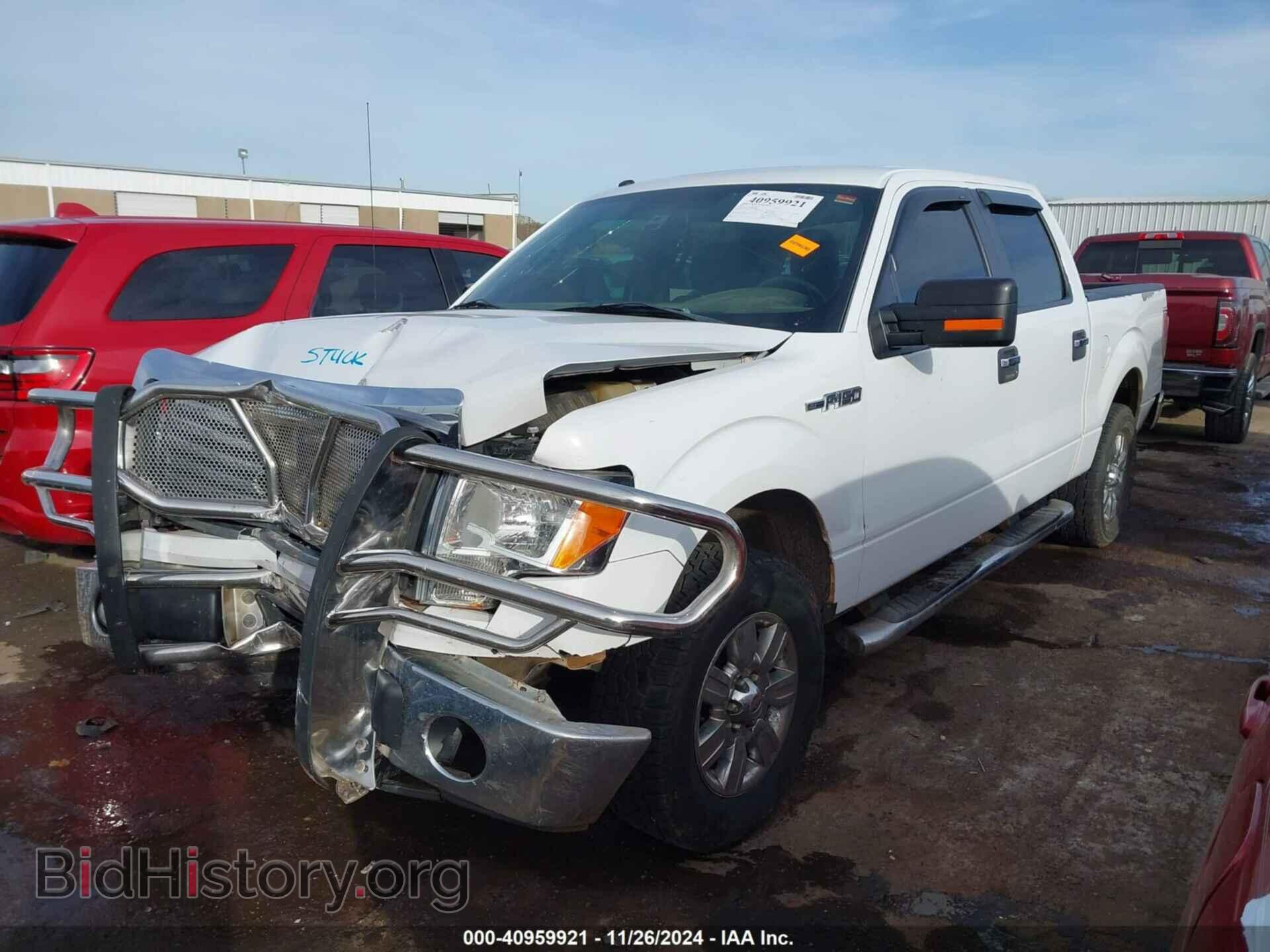 2011 FORD F-150 - VIN: 1FTFW1CF1BKD89933 - Фото 2