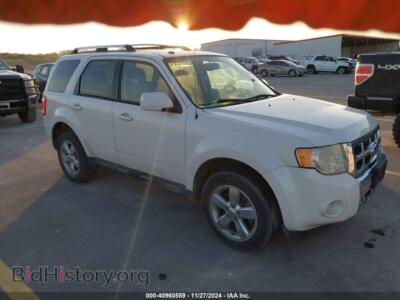 2010 Ford ESCAPE Limited, white — VIN 1FMCU0EG0AKA95524, IAAI