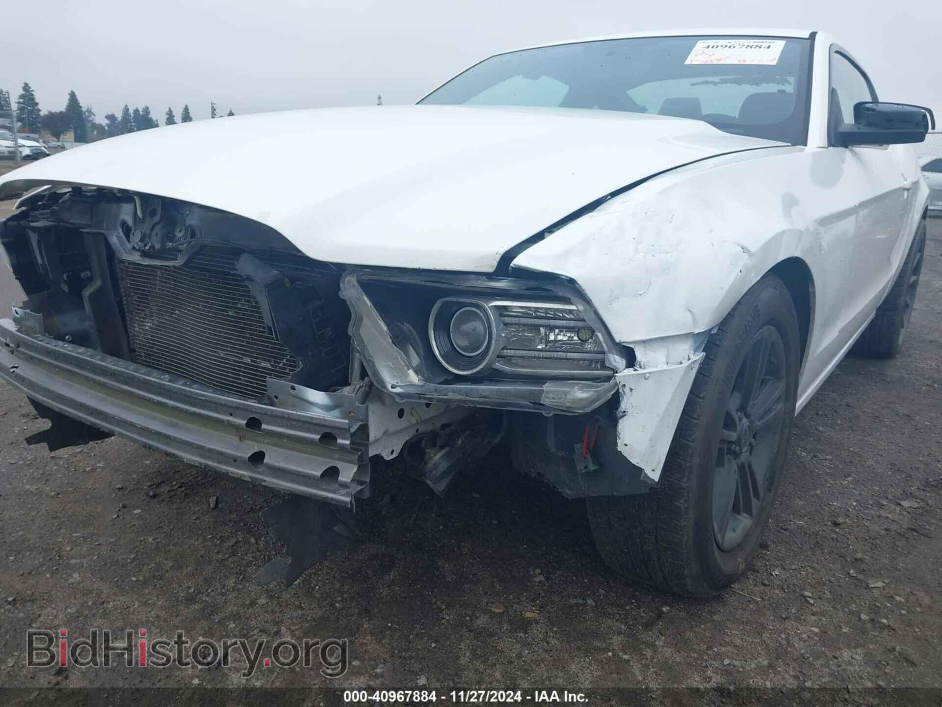 2013 FORD MUSTANG - VIN: 1ZVBP8AMXD5233829 - Фото 6