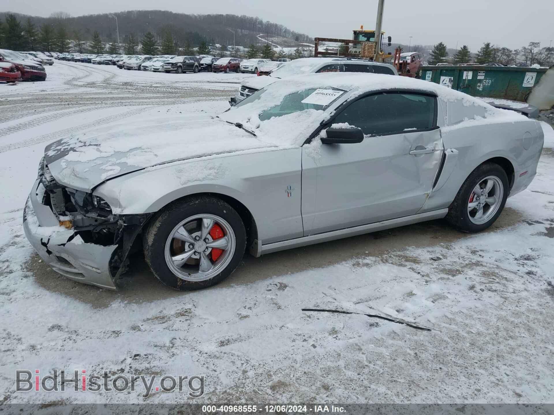2014 FORD MUSTANG - VIN: 1ZVBP8AM2E5253977 - Фото 2