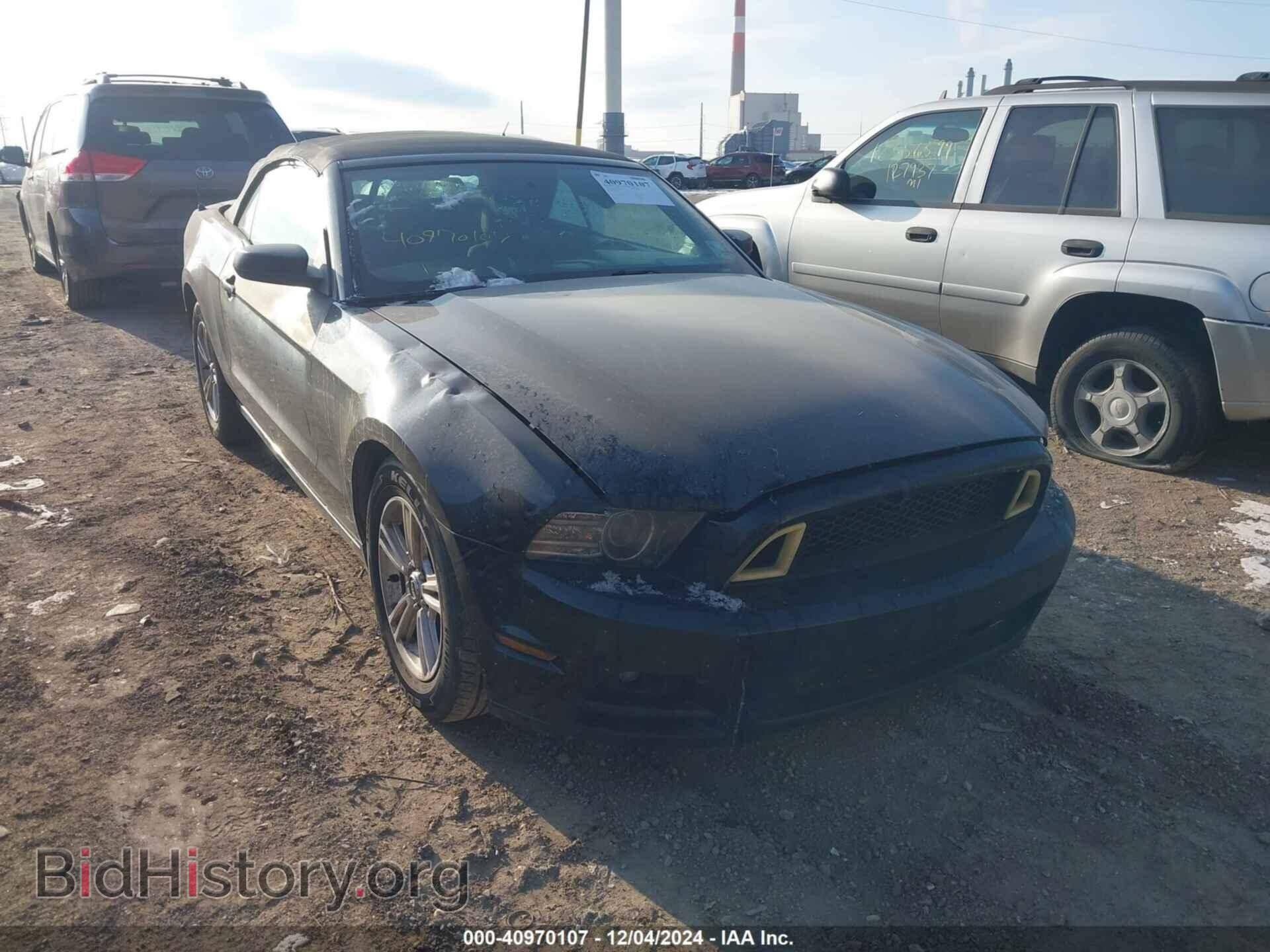 Фотография 1ZVBP8EM3E5210663 - FORD MUSTANG 2014