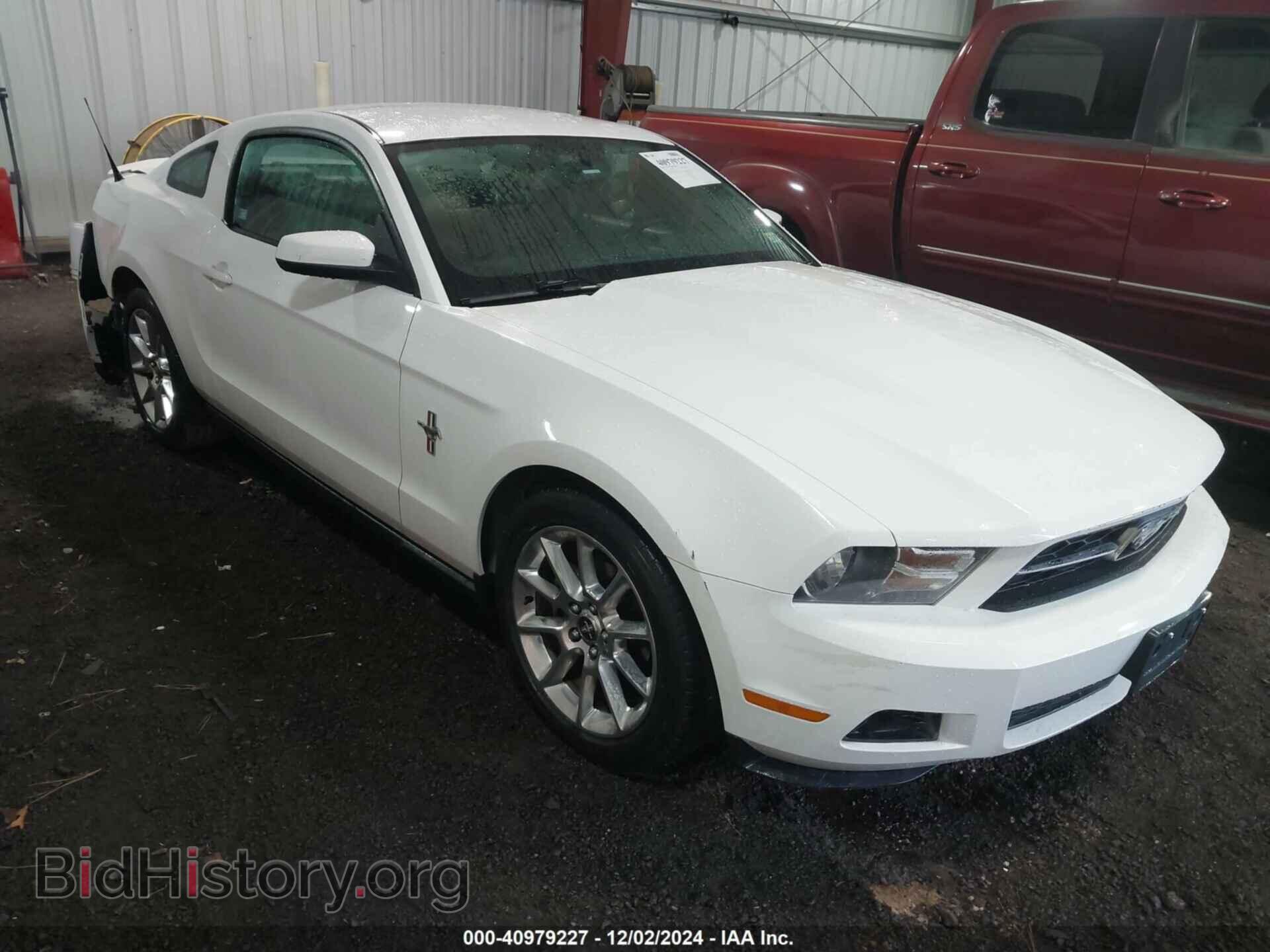 Фотография 1ZVBP8AN7A5176851 - FORD MUSTANG 2010