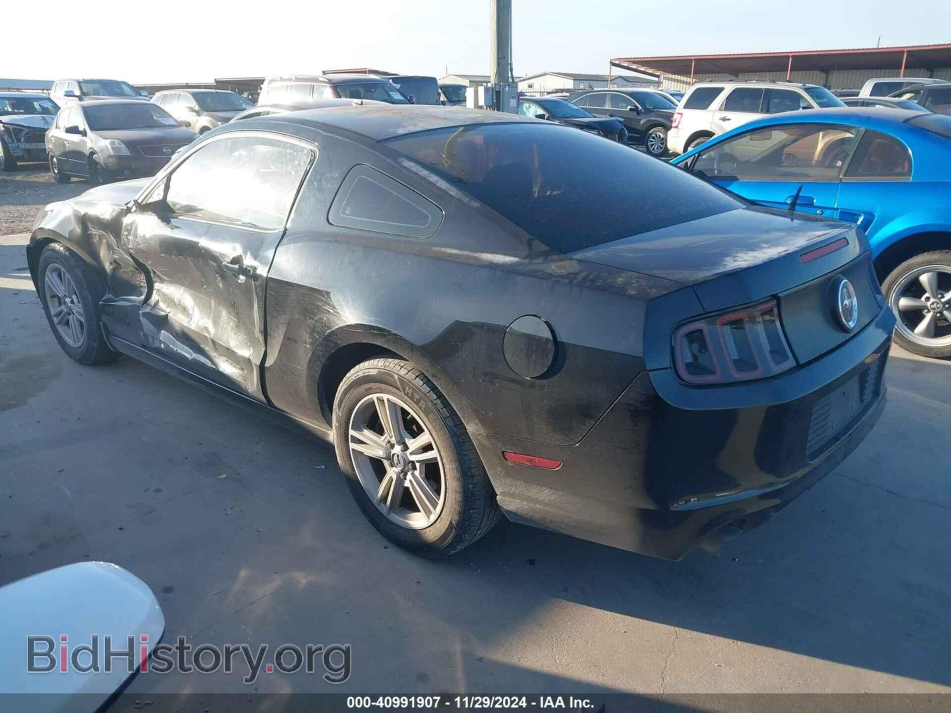 2014 FORD MUSTANG - VIN: 1ZVBP8AM1E5274576 - Фото 3