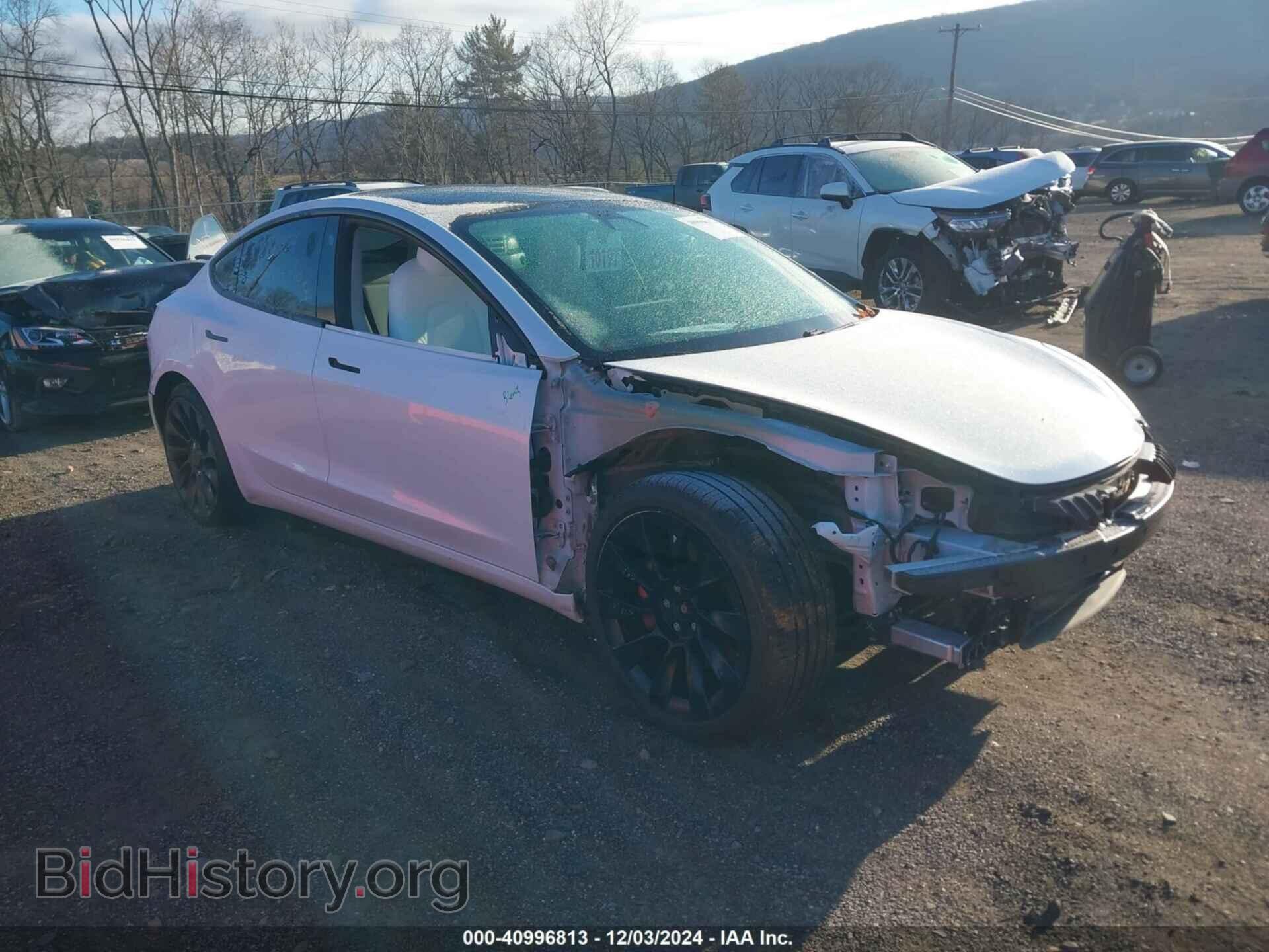 Photo 5YJ3E1EC4MF056196 - TESLA MODEL 3 2021