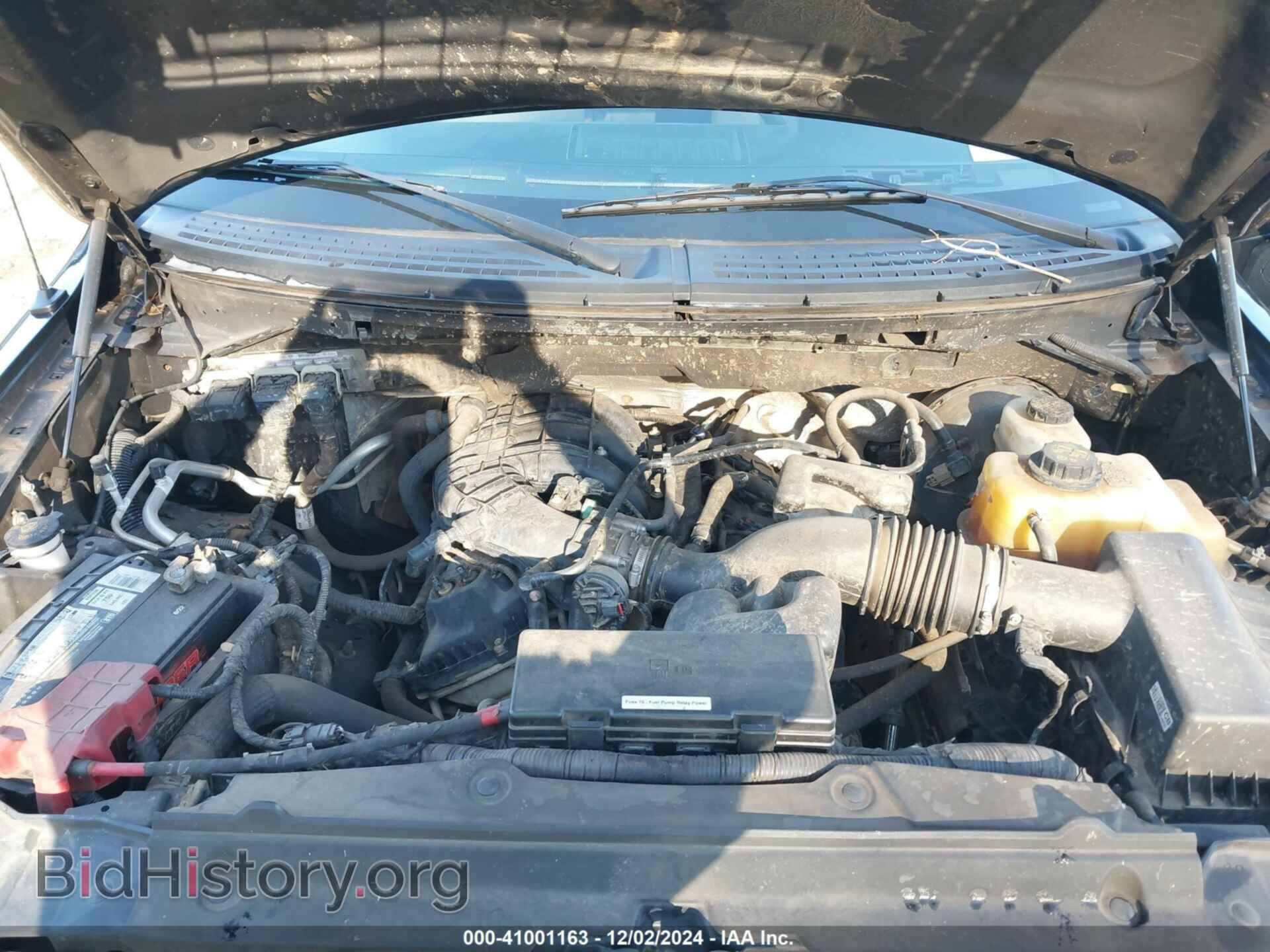 2013 FORD F-150 - VIN: 1FTEW1CM1DFD15210 - Фото 10