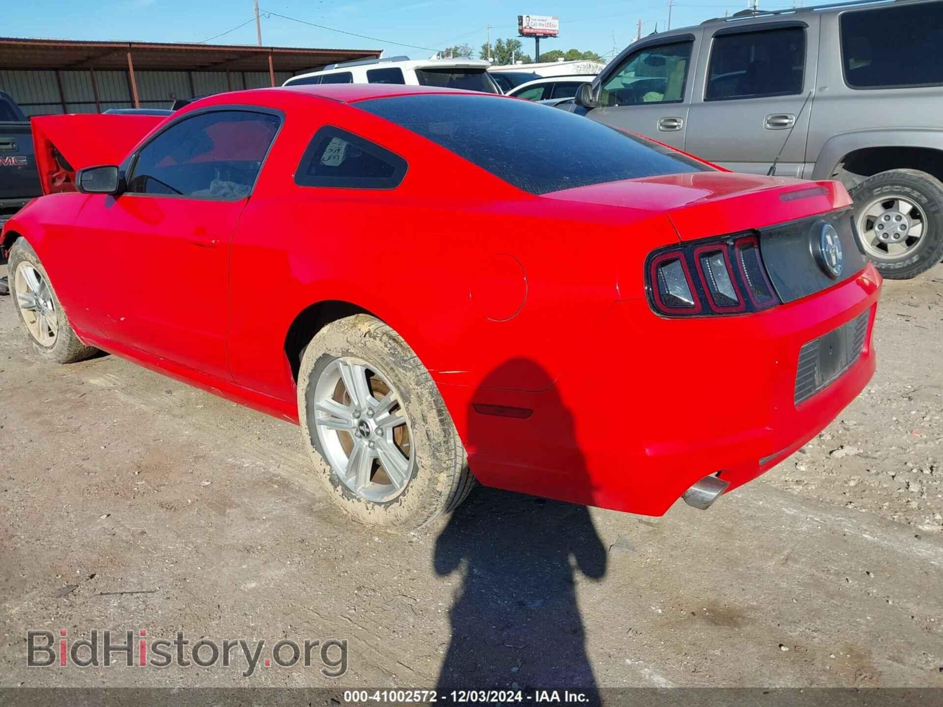 2014 FORD MUSTANG - VIN: 1ZVBP8AM9E5269979 - Фото 3