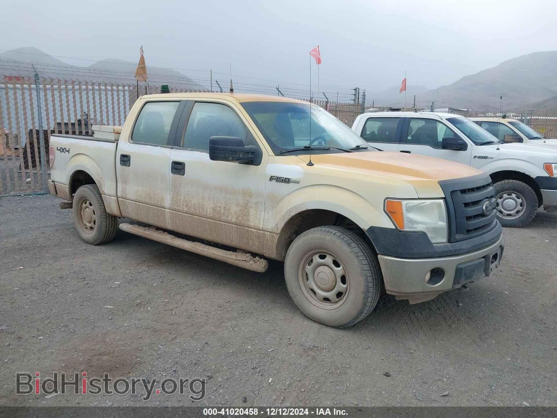 Фотография 1FTFW1EF3CFB74643 - FORD F-150 2012