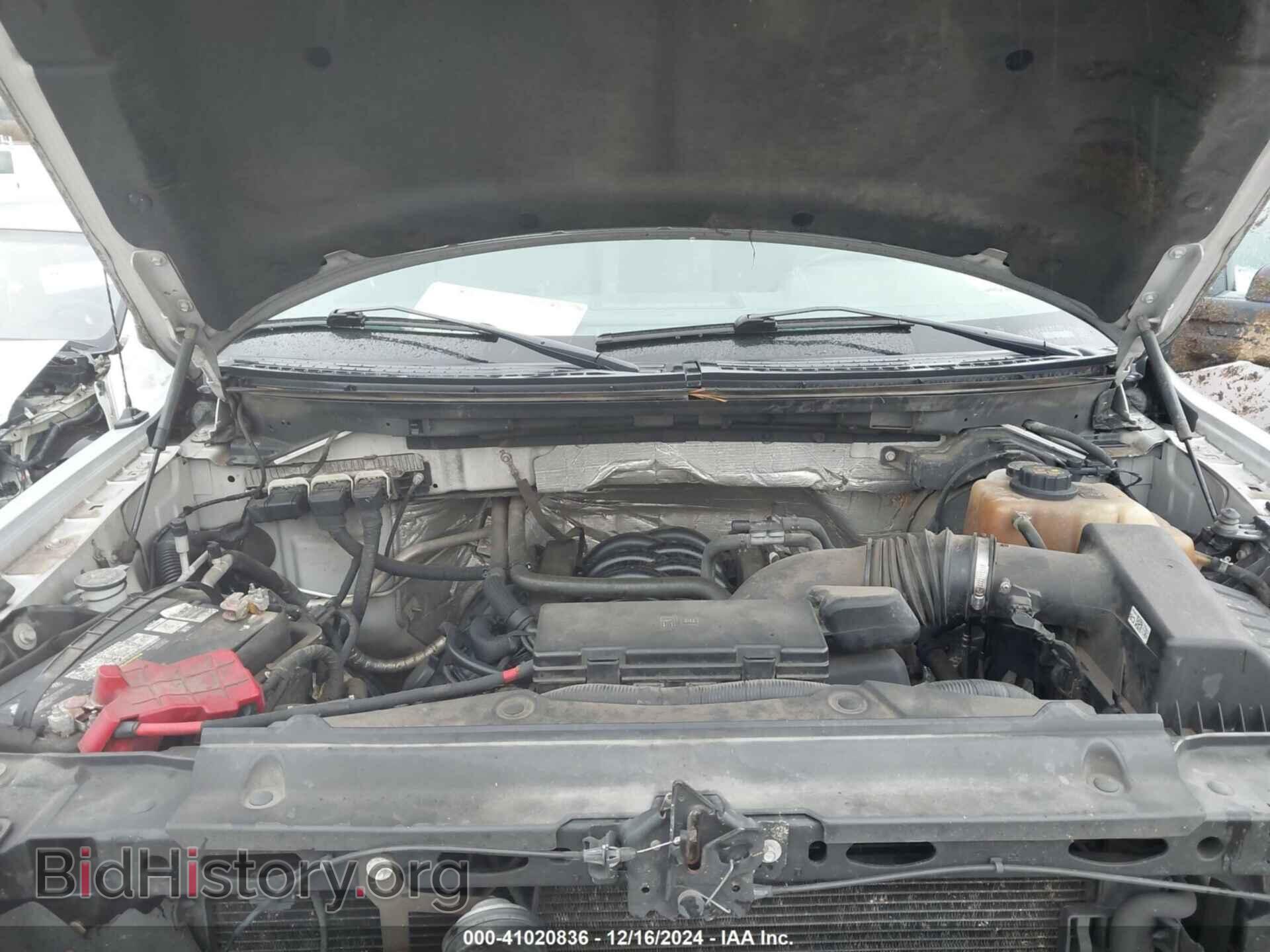 2013 FORD F150 - VIN: 1FTFW1EF9DFB68279 - Фото 10