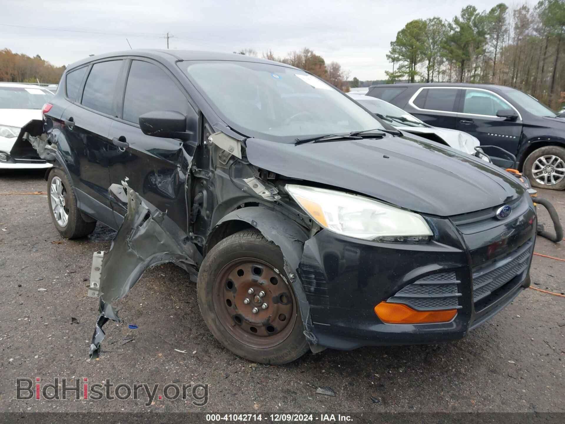 Photo 1FMCU0F71DUC67387 - FORD ESCAPE 2013
