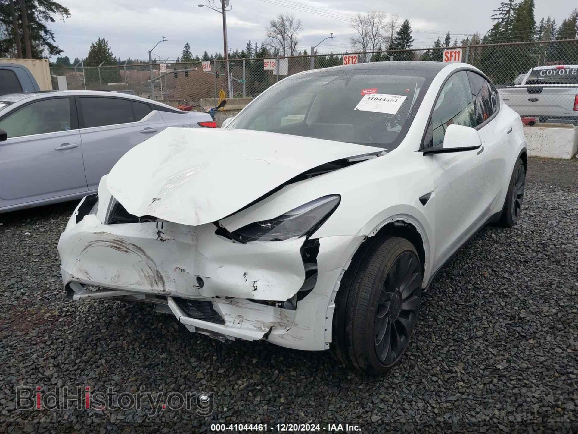 2024 TESLA MODEL Y - VIN: 7SAYGDEF3RF195077 - Фото 2