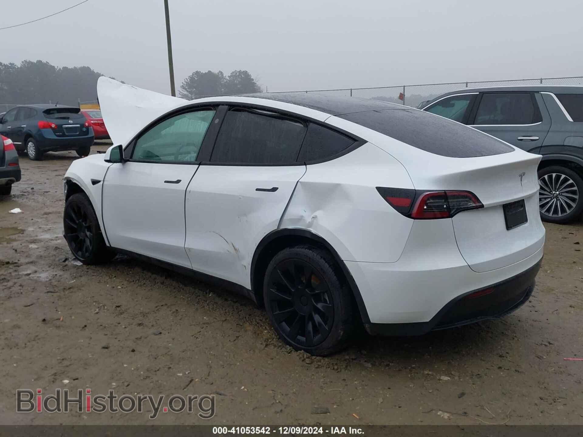 2024 TESLA MODEL Y - VIN: 7SAYGDED4RF101092 - Фото 3