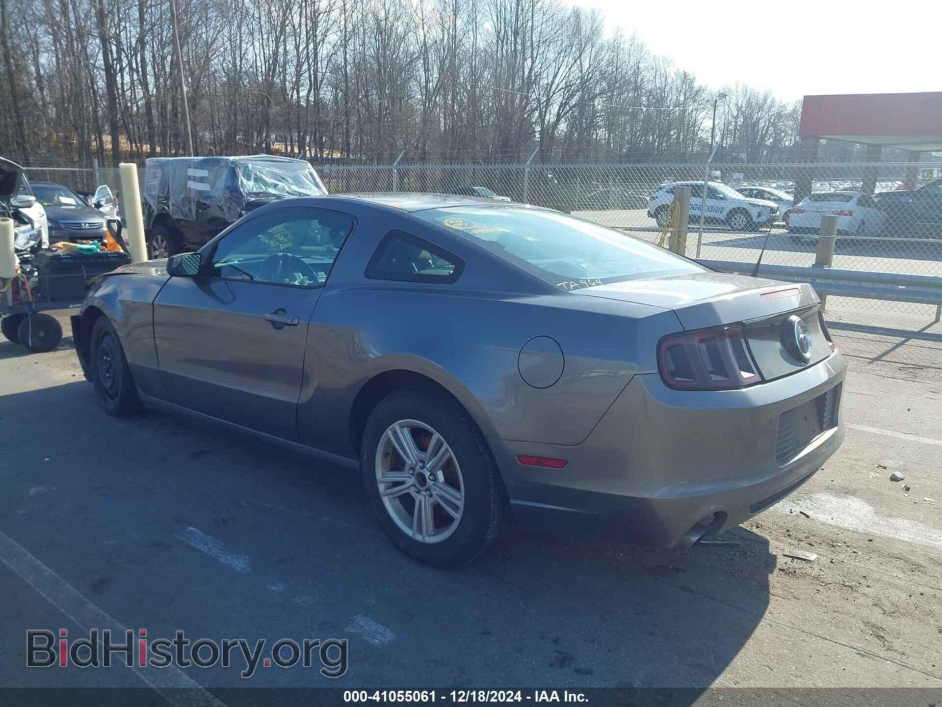 2014 FORD MUSTANG - VIN: 1ZVBP8AM4E5257190 - Фото 3